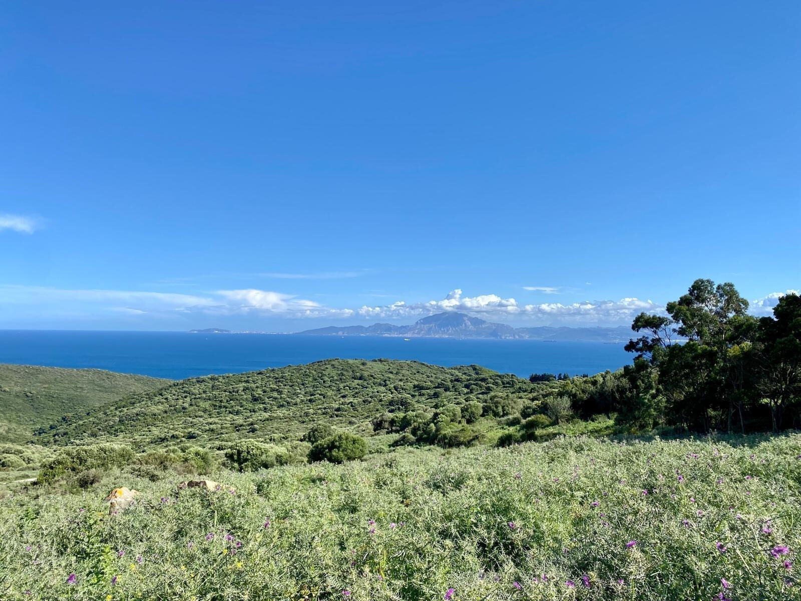 Pisos-Venta-Tarifa-1835347-Foto-2