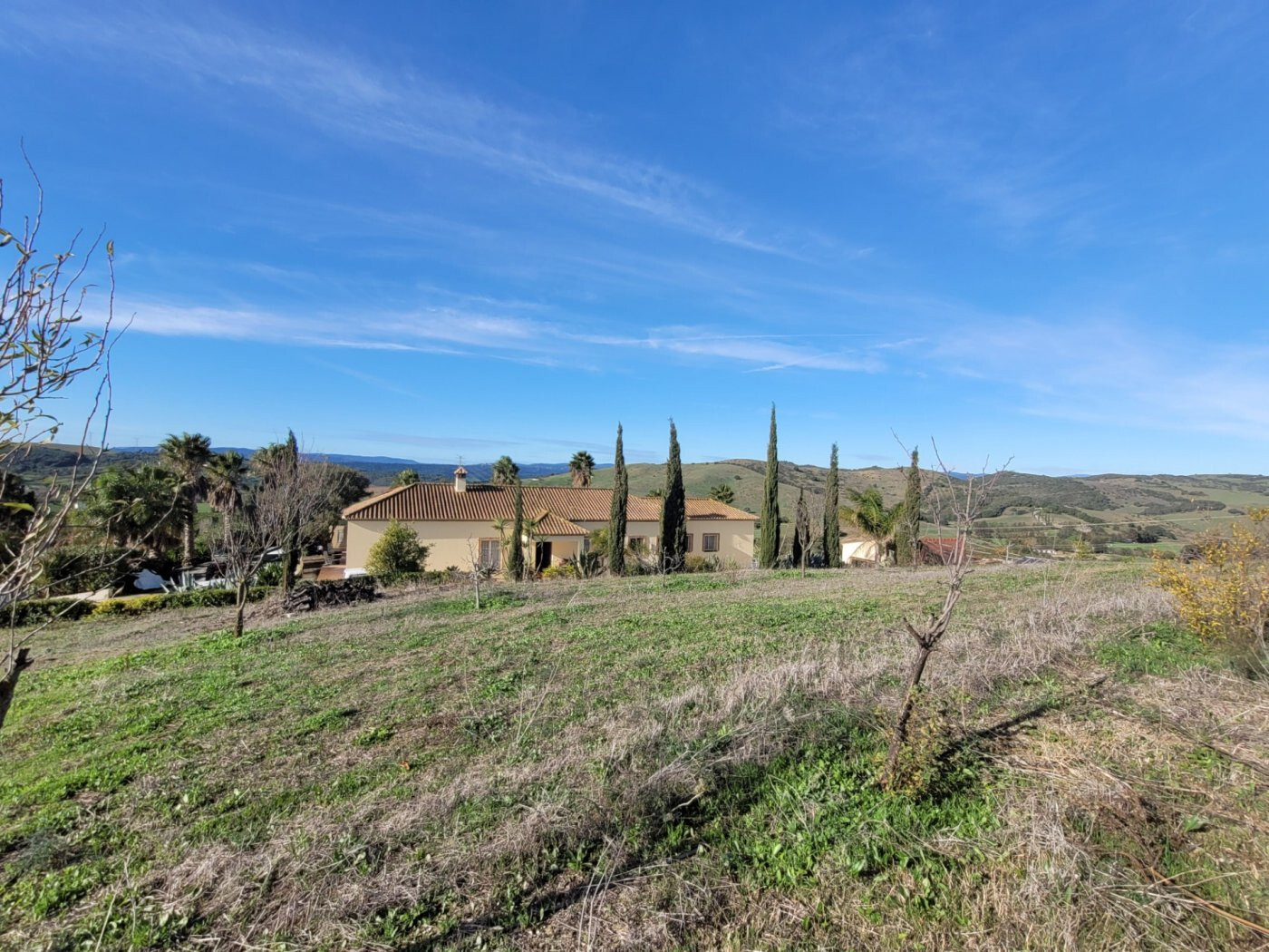 Casas o chalets-Venta-San Martin del Tesorillo-1832517