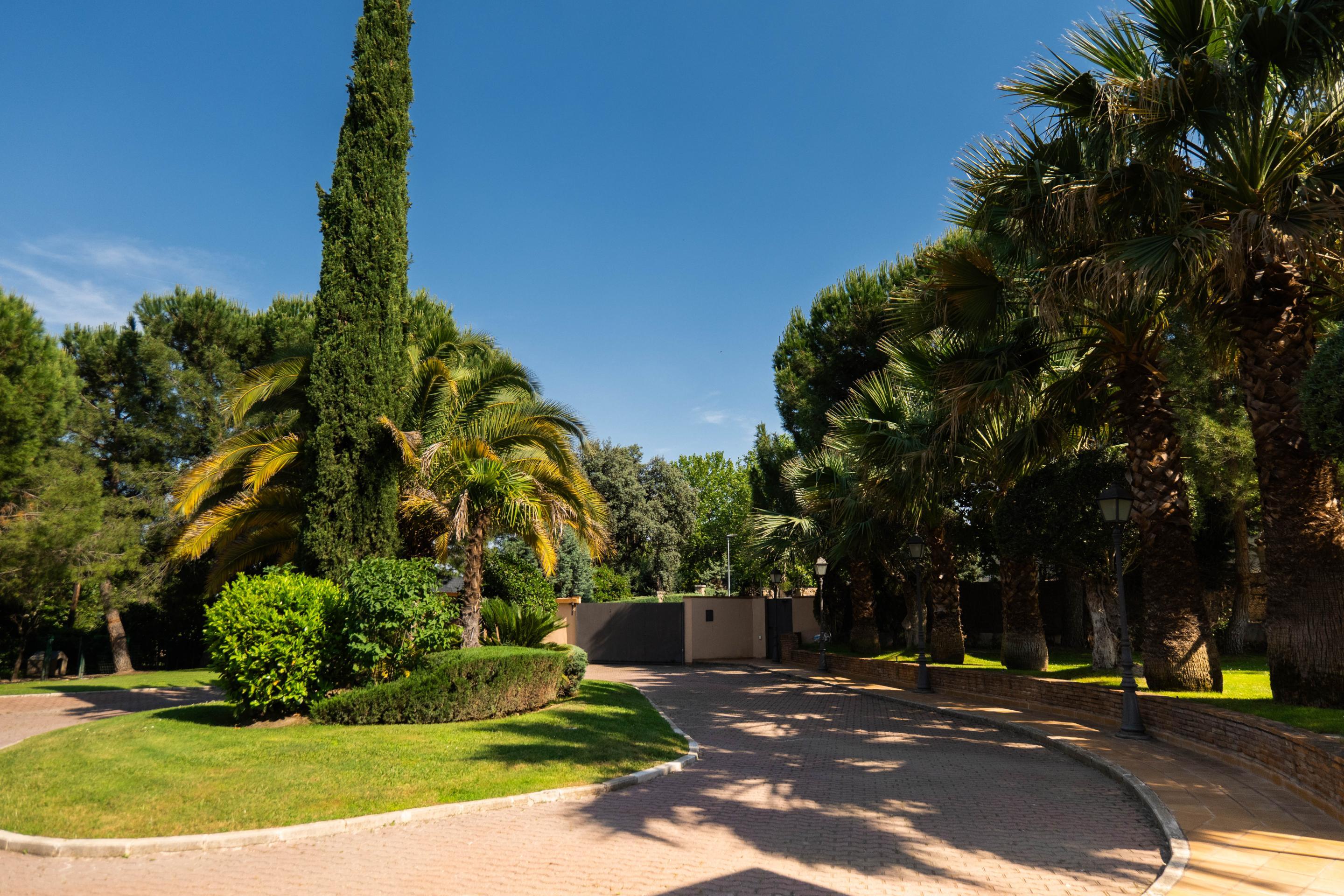 Casas o chalets-Venta-San SebastiÃ¡n de los Reyes-2412803-Foto-5