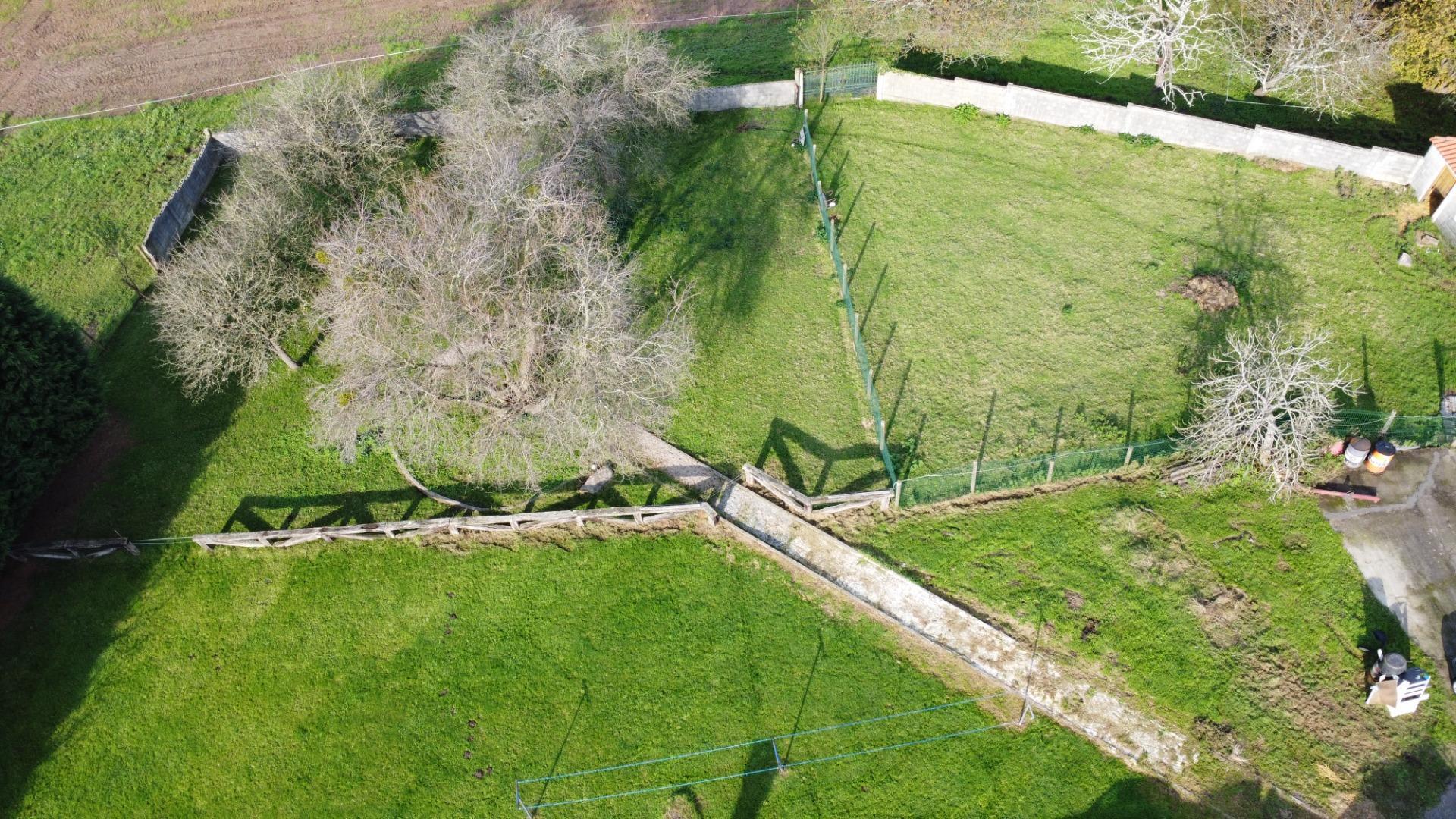 Casas o chalets-Venta-Corvera de Asturias-1481376-Foto-53