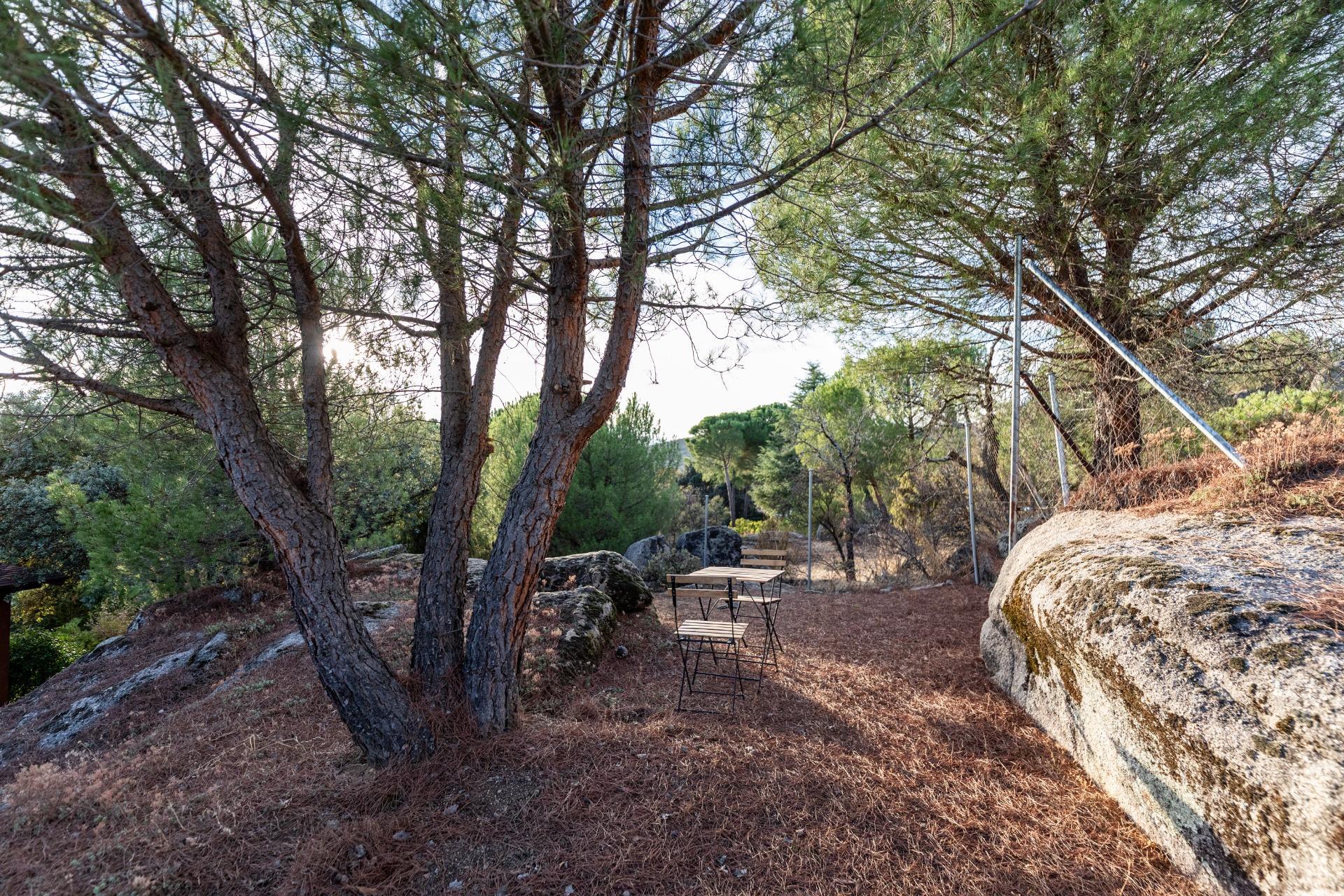 Casas o chalets-Venta-Hoyo de Manzanares-1942861-Foto-52