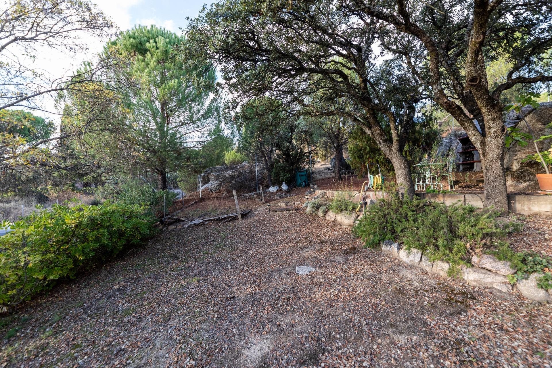 Casas o chalets-Venta-Hoyo de Manzanares-1942861-Foto-48