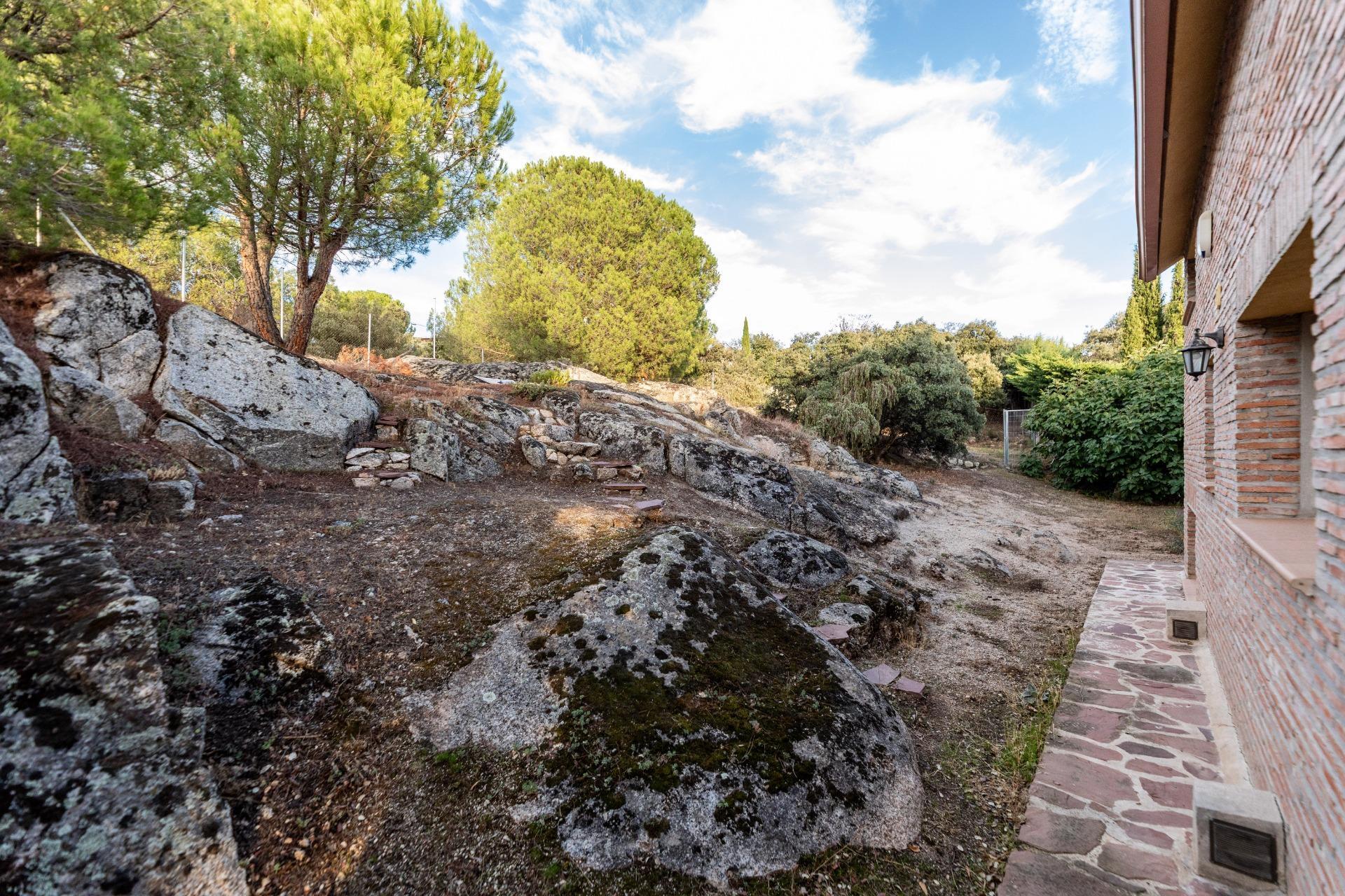 Casas o chalets-Venta-Hoyo de Manzanares-1942861-Foto-50