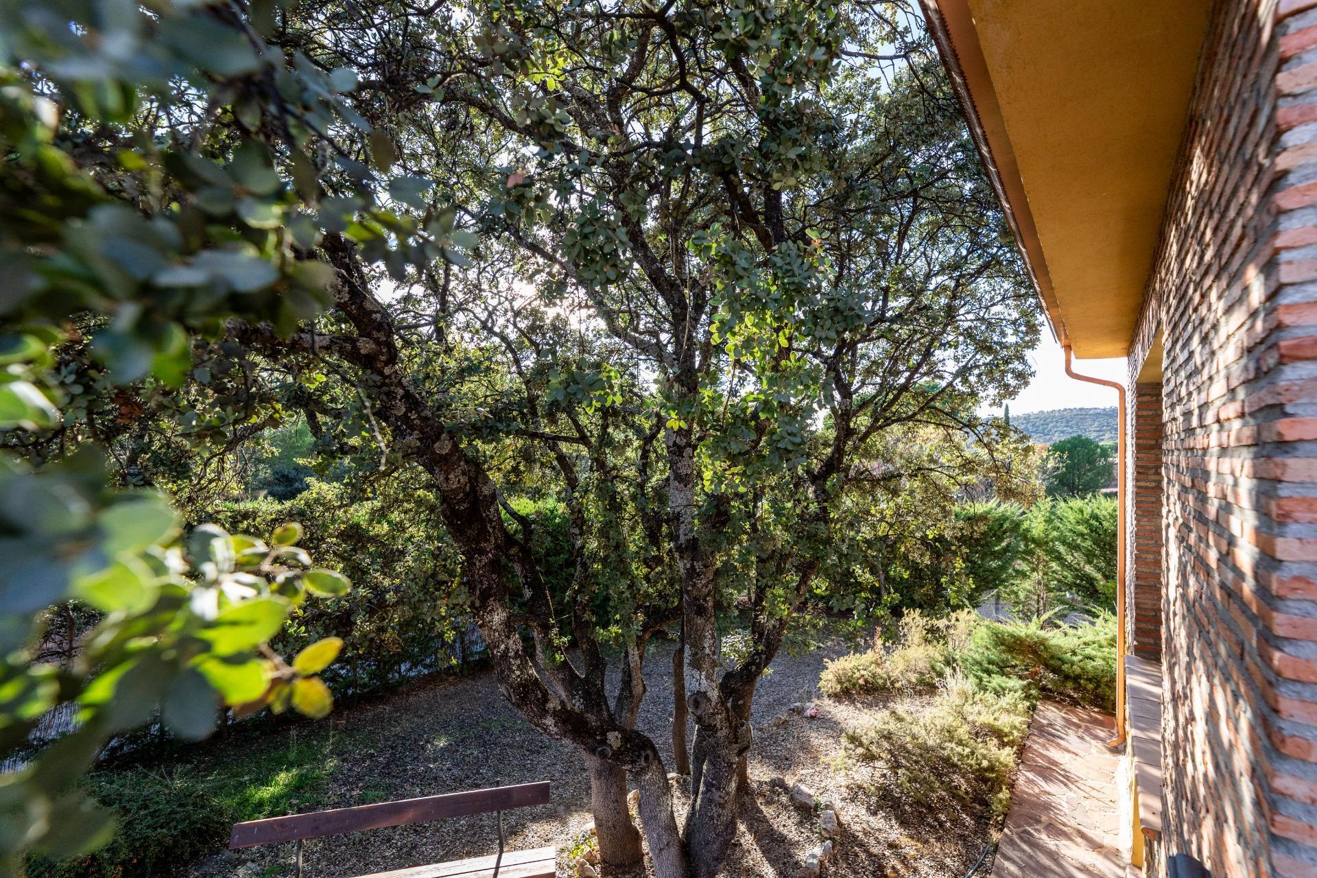 Casas o chalets-Venta-Hoyo de Manzanares-1942861-Foto-55