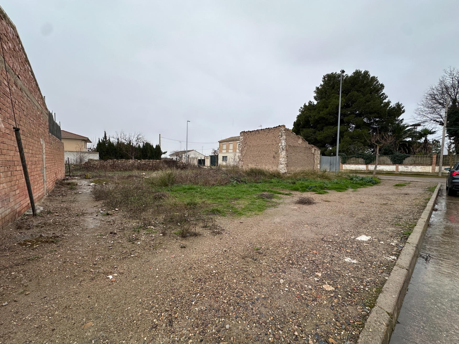 Fincas y solares-Venta-FrÃ©scano-2415908-Foto-2