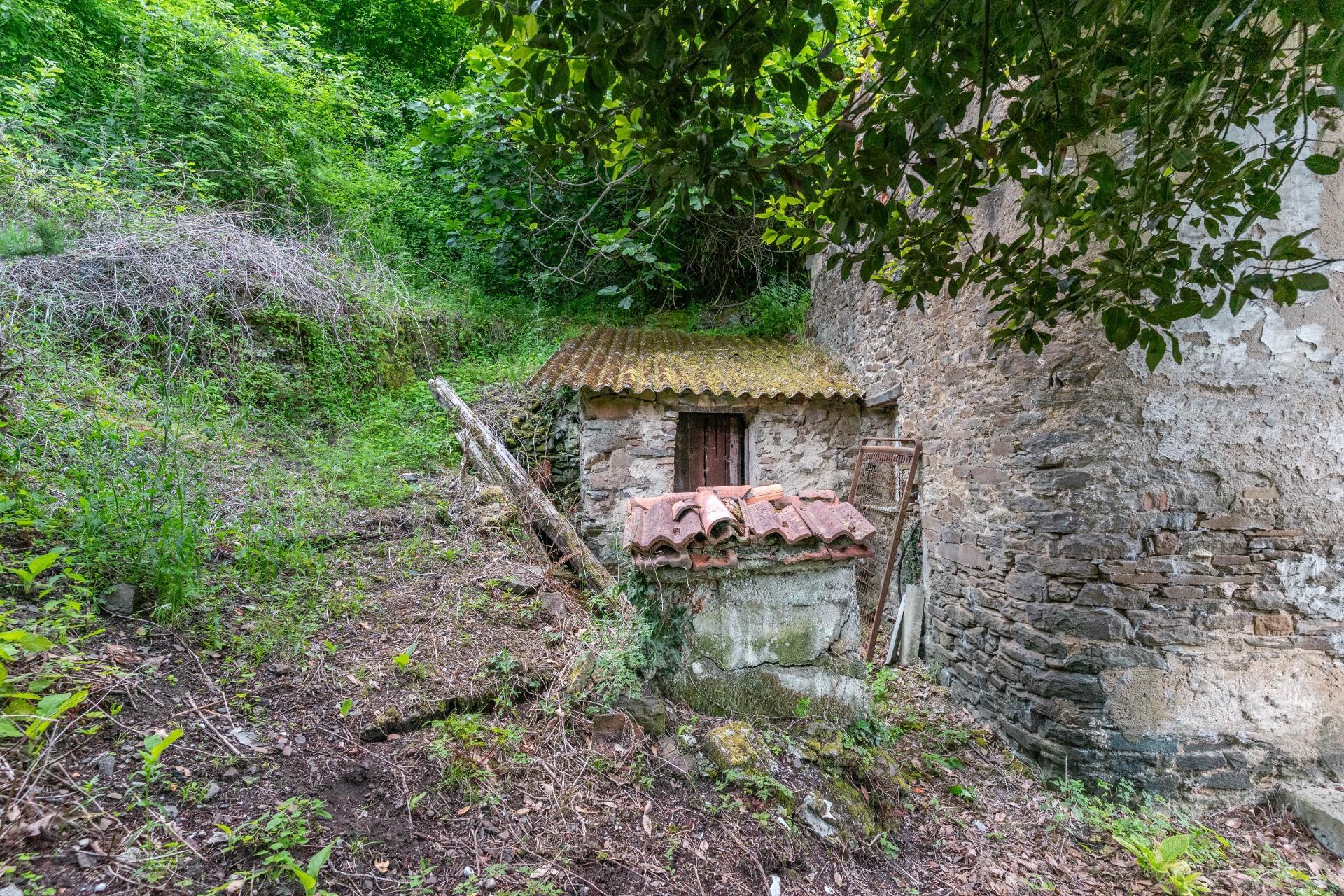 Casas o chalets-Venta-Mieres-2411439-Foto-12