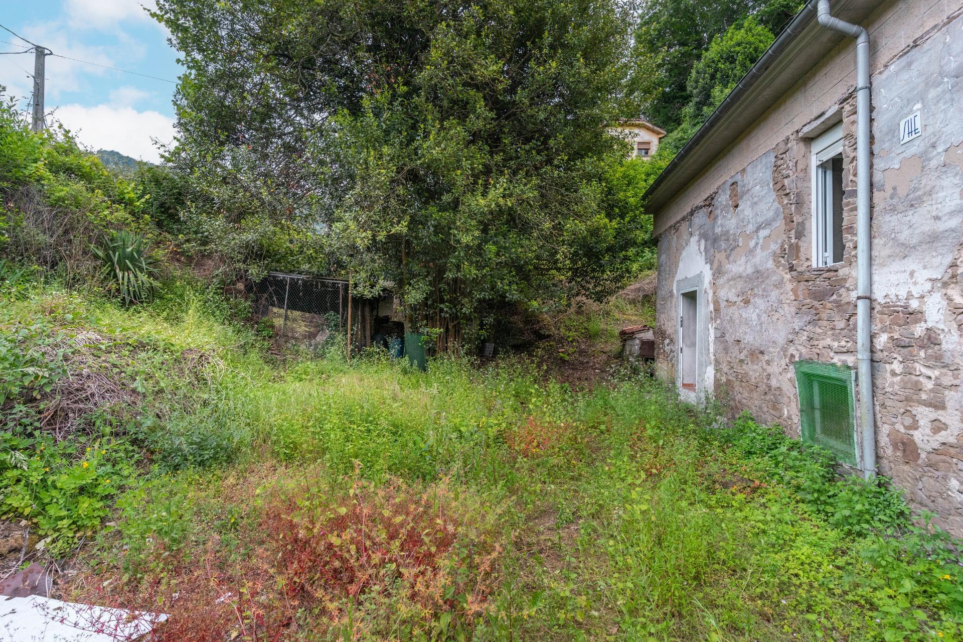 Casas o chalets-Venta-Mieres-2411439-Foto-35