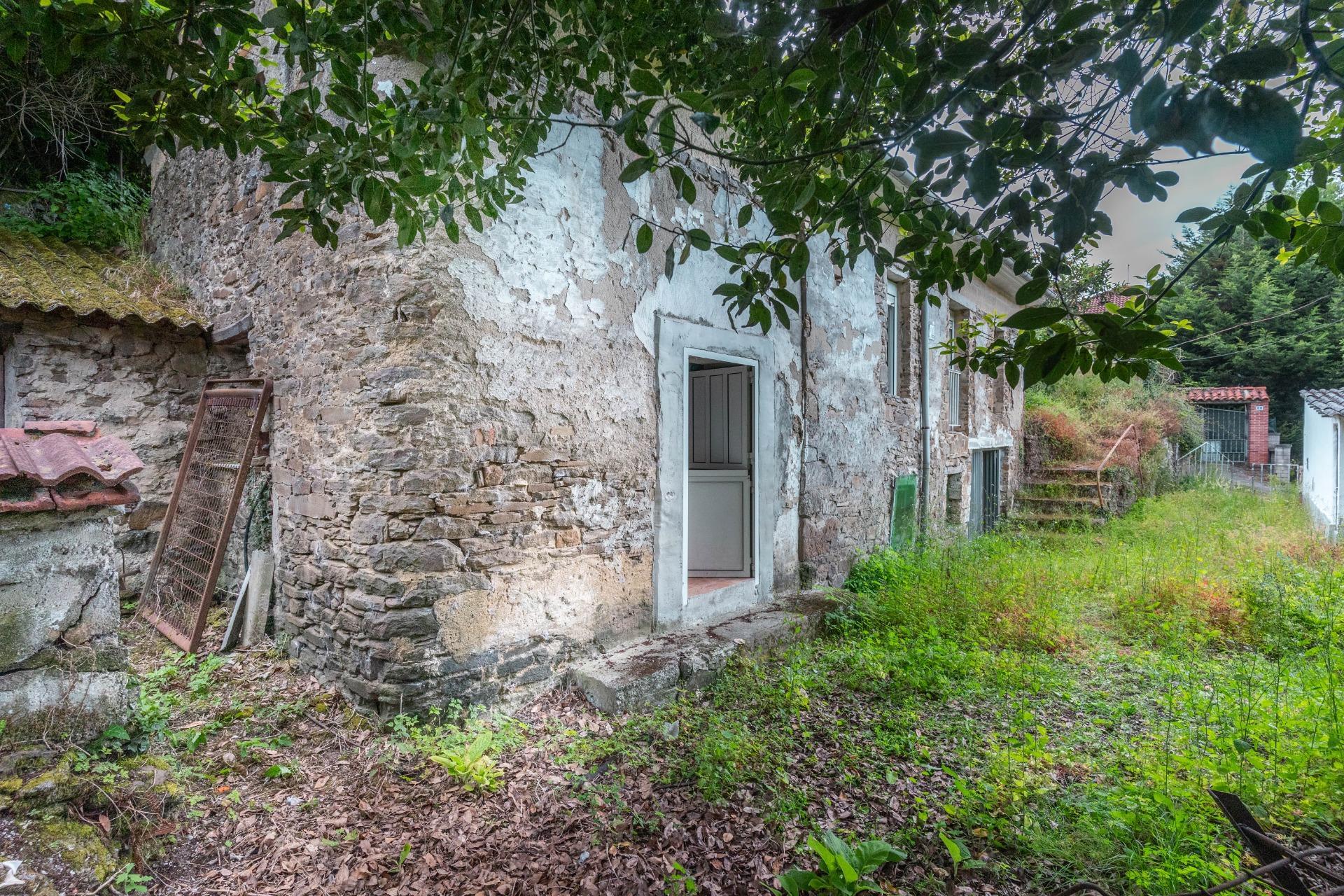 Casas o chalets-Venta-Mieres-2411439-Foto-39