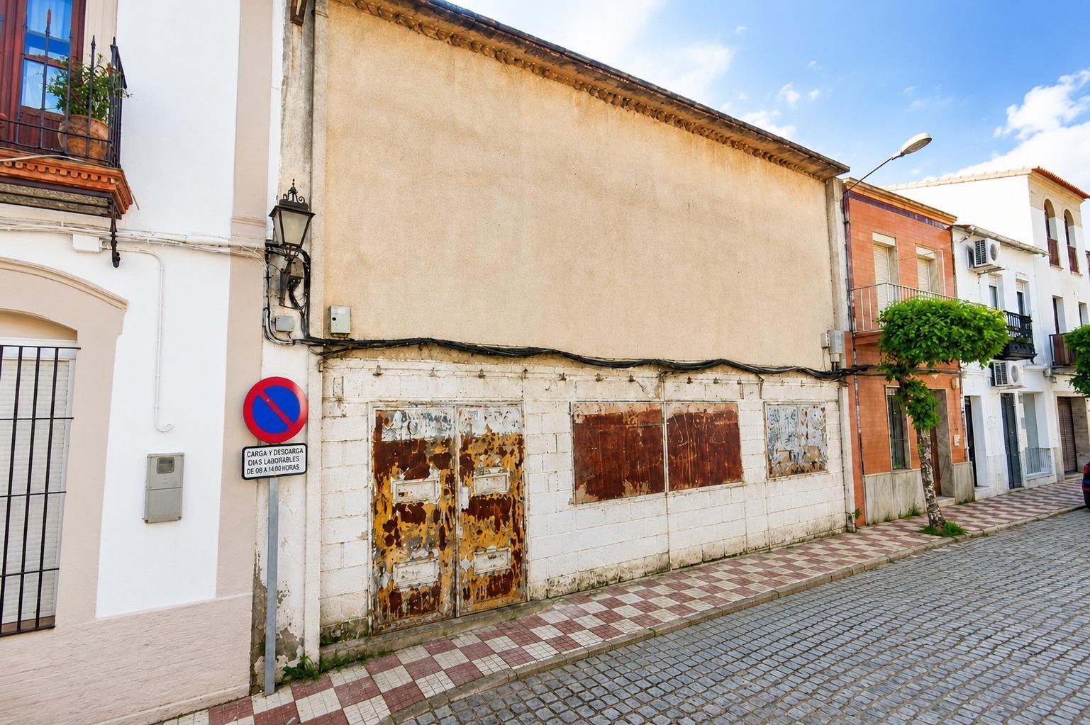 Fincas y solares-Venta-Nerva-2411978