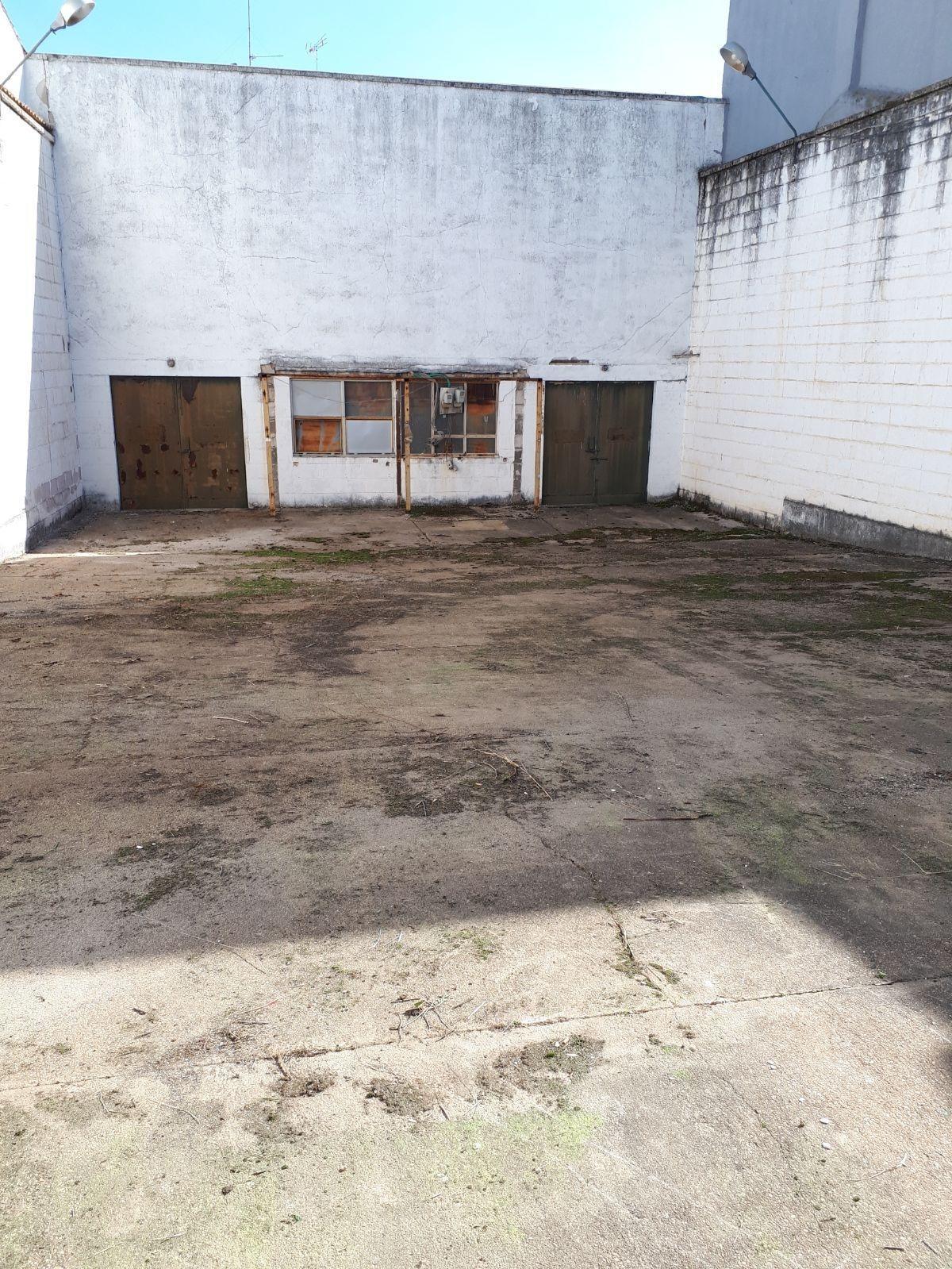 Fincas y solares-Venta-Nerva-2411978-Foto-4
