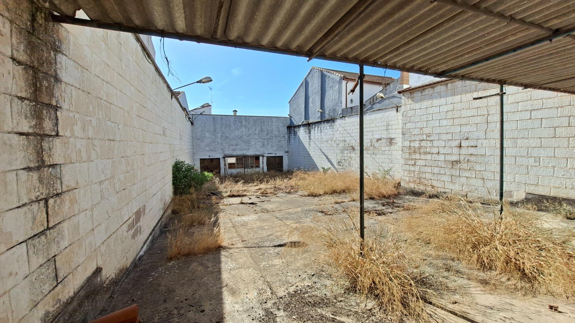 Fincas y solares-Venta-Nerva-2411978-Foto-11