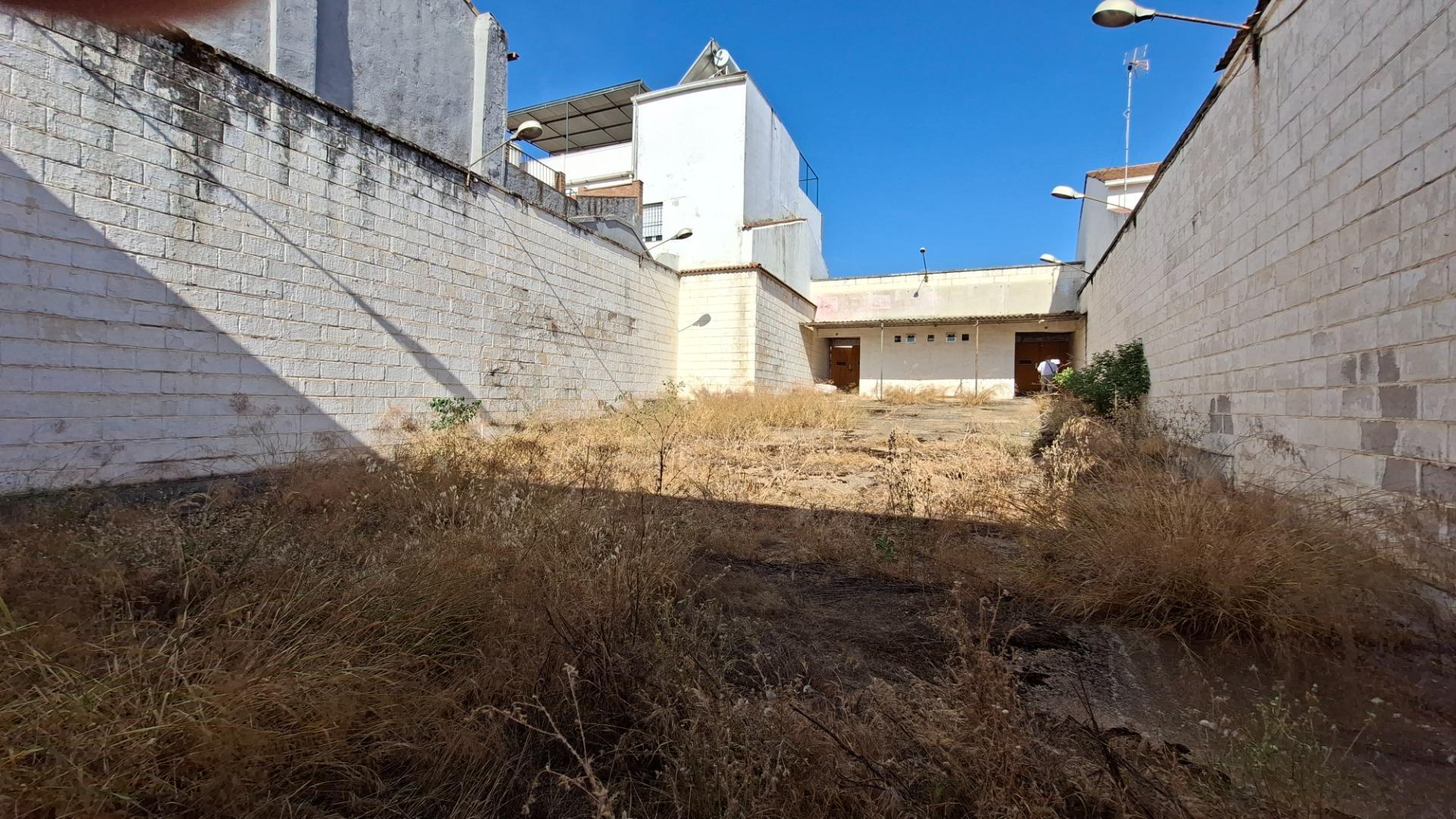Fincas y solares-Venta-Nerva-2411978-Foto-12