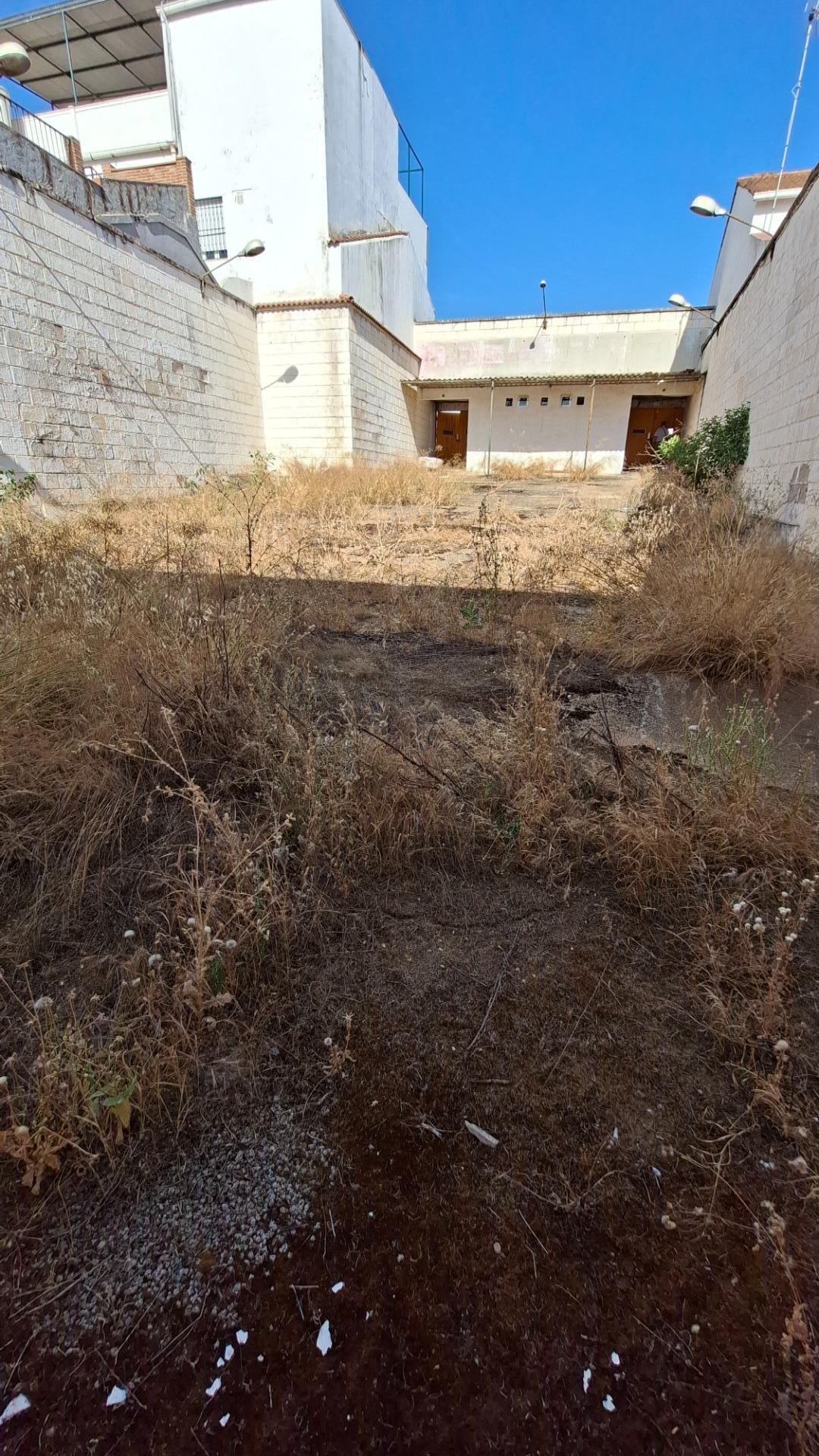 Fincas y solares-Venta-Nerva-2411978-Foto-13