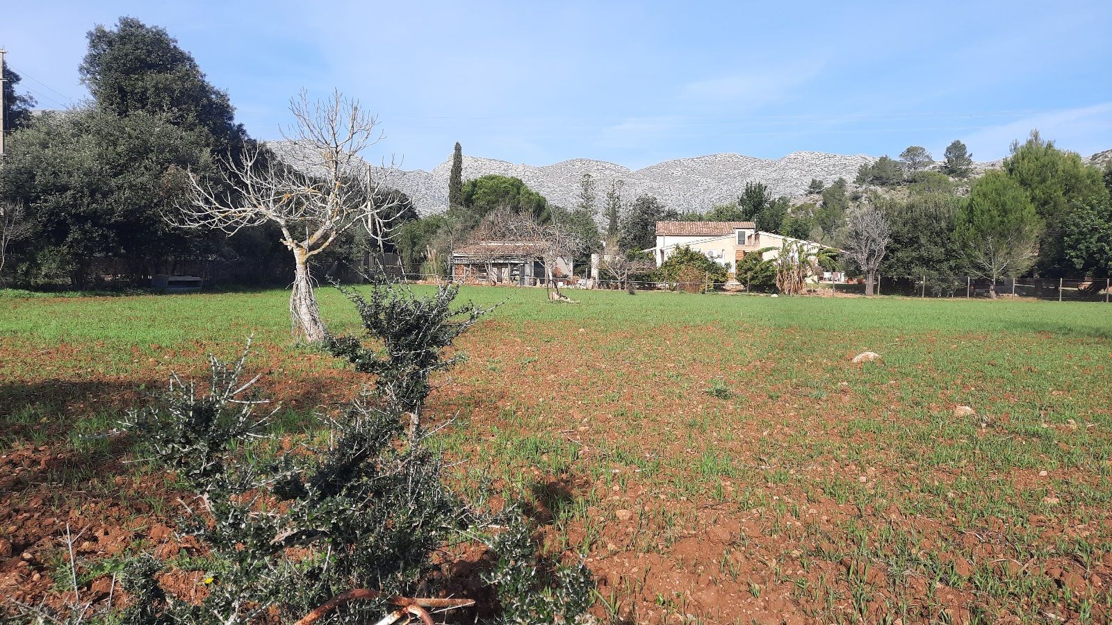 Nave Industrial en venta en calle 10, Pollença 35/46