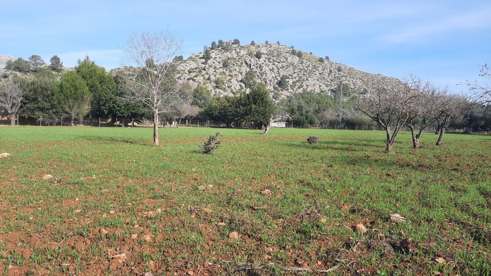 Nave Industrial en venta en calle 10, Pollença 36/46