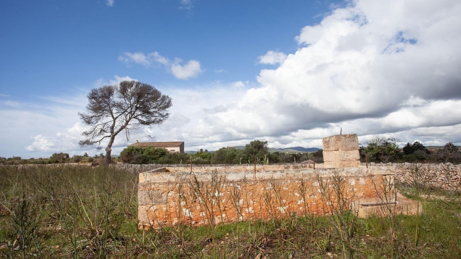 Nave Industrial en venta  calle VASCO DE GAMA, Manacor  19/28
