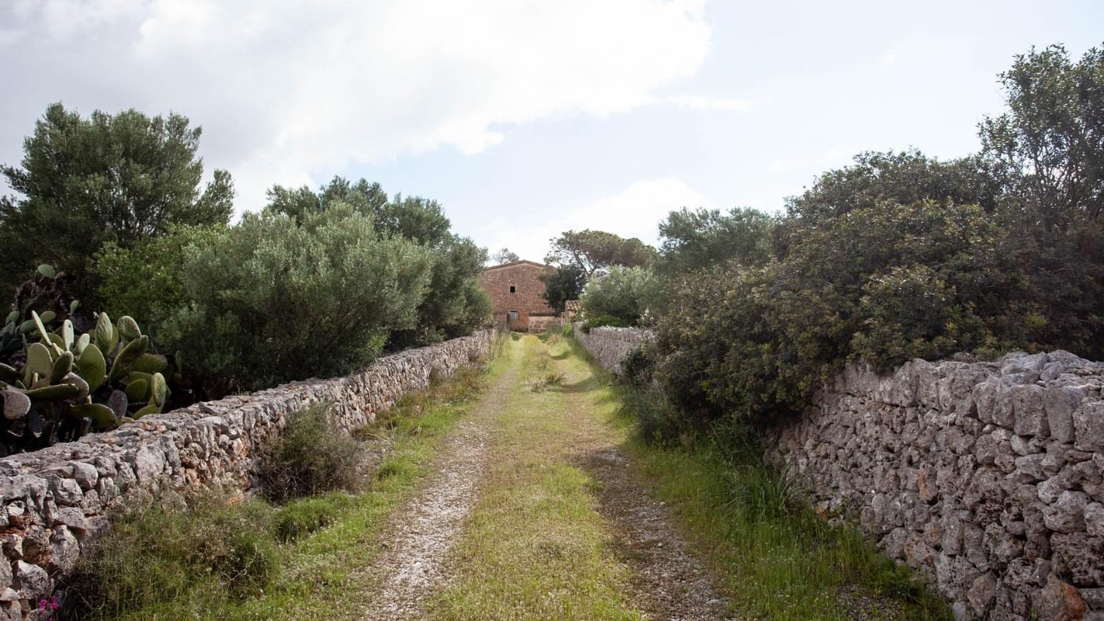 Nave Industrial en venta  calle VASCO DE GAMA, Manacor  23/28
