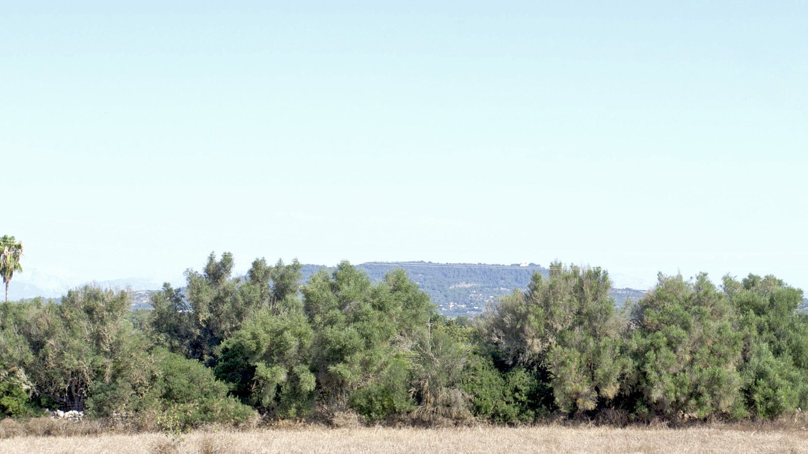 Nave Industrial en venta  calle 25, Parcelas 1435, 651, 1456, Manacor  29/30