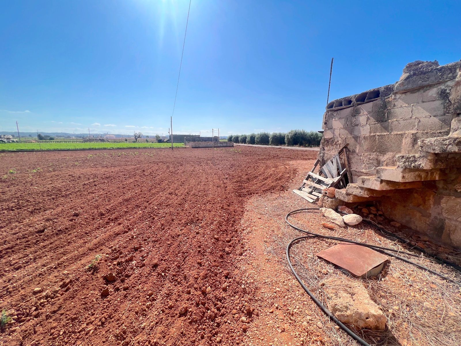 Fincas y solares-Venta-Sa Pobla-993592
