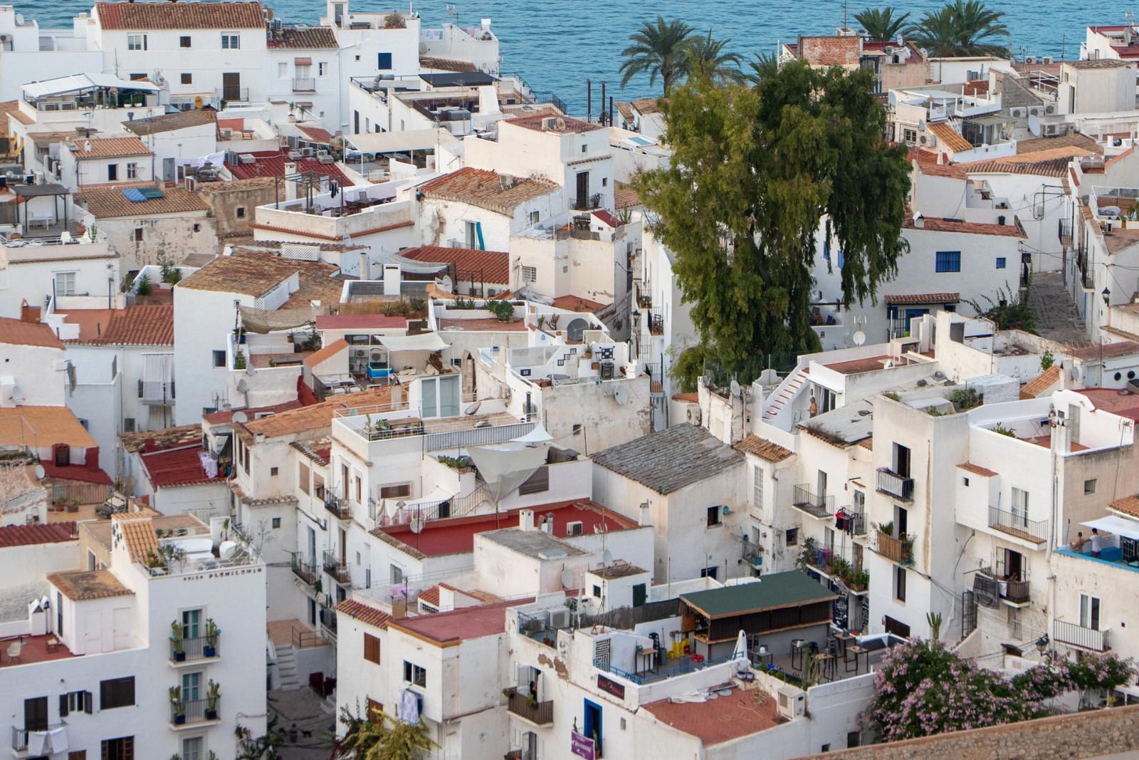 Pisos-Venta-Ibiza-1419384-Foto-19