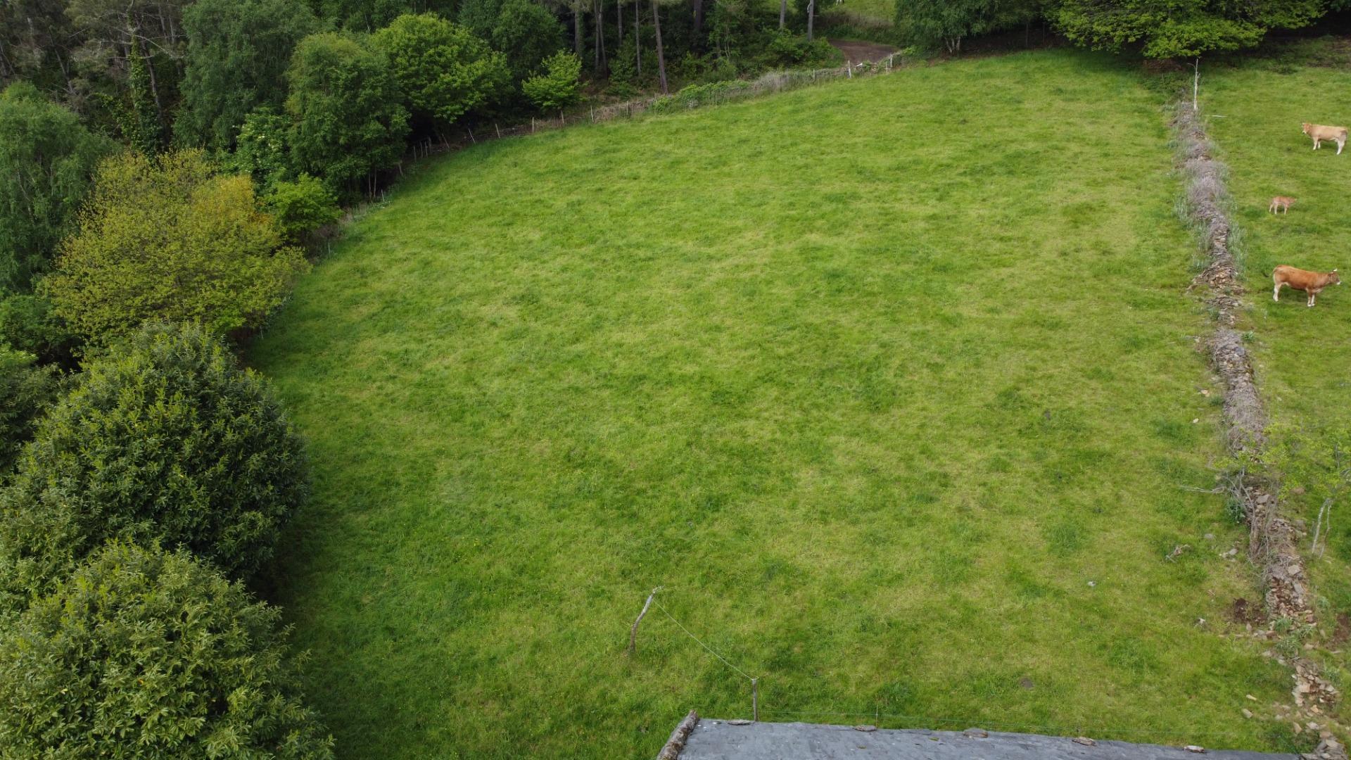 Casas o chalets-Venta-El Boalo-2412017-Foto-29