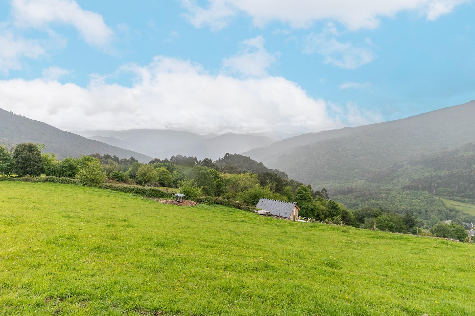 Casas o chalets-Venta-El Boalo-2412017-Foto-30