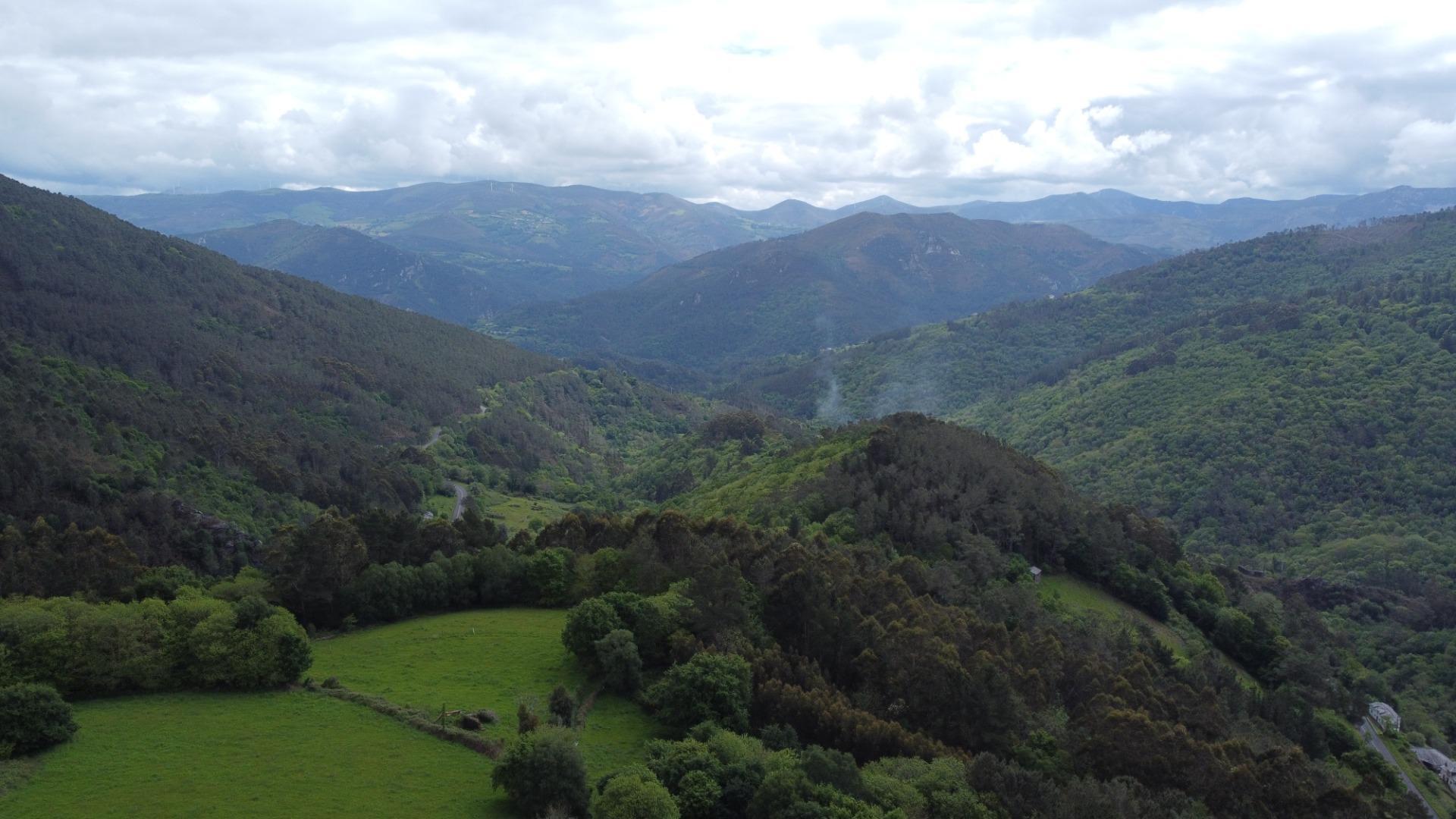 Casas o chalets-Venta-El Boalo-2412017-Foto-32