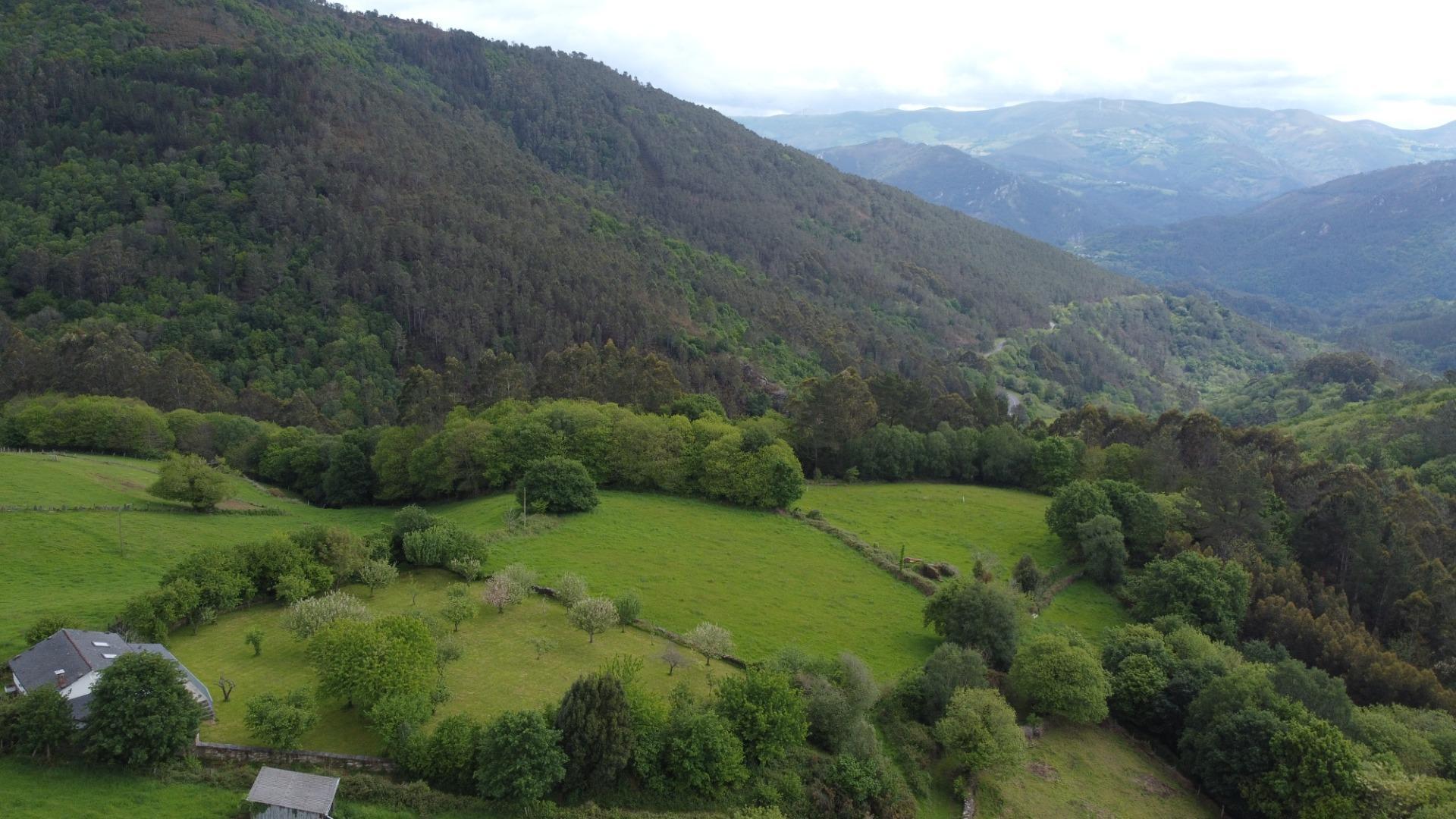 Casas o chalets-Venta-El Boalo-2412017-Foto-33