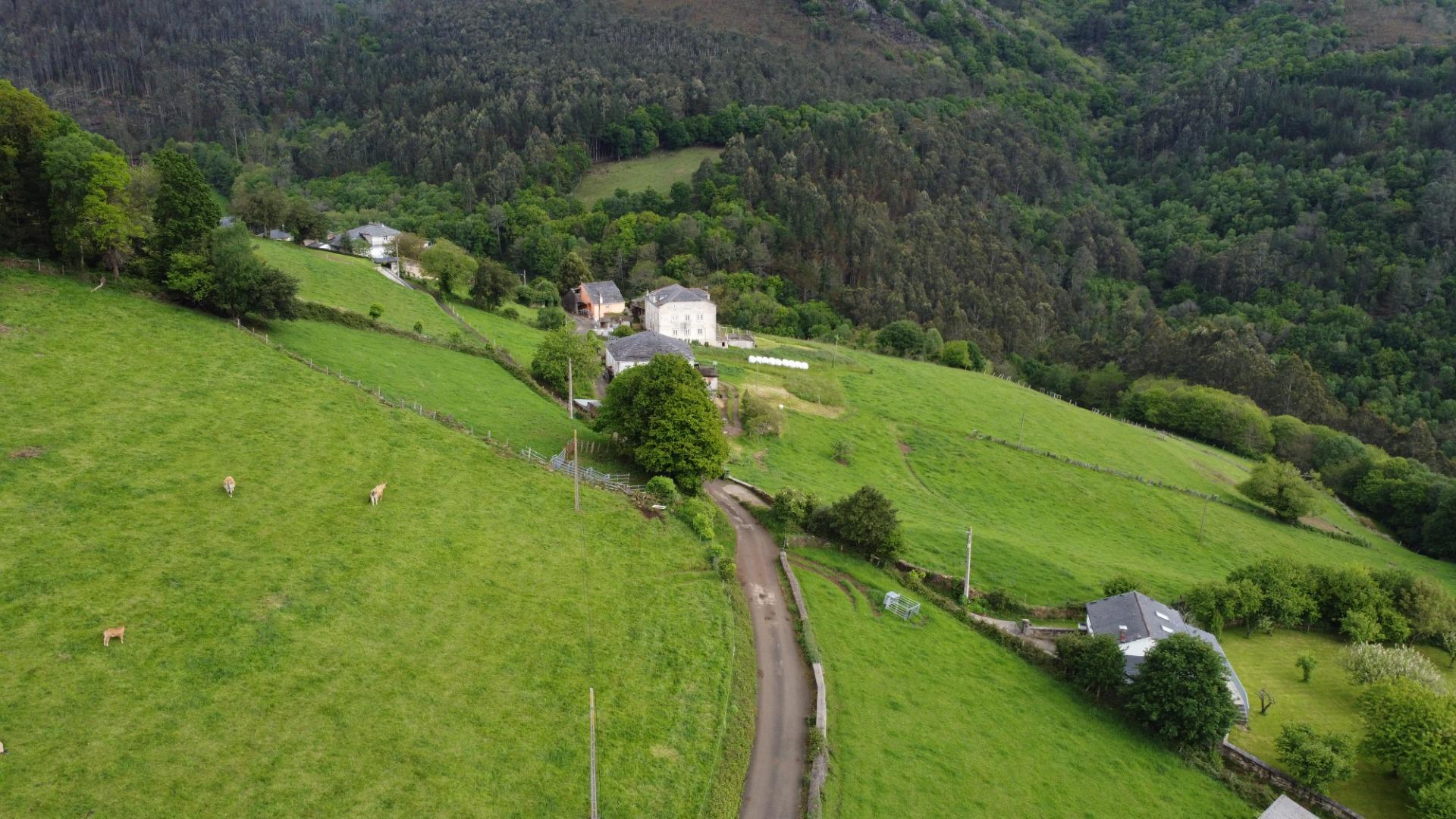 Casas o chalets-Venta-El Boalo-2412017-Foto-34