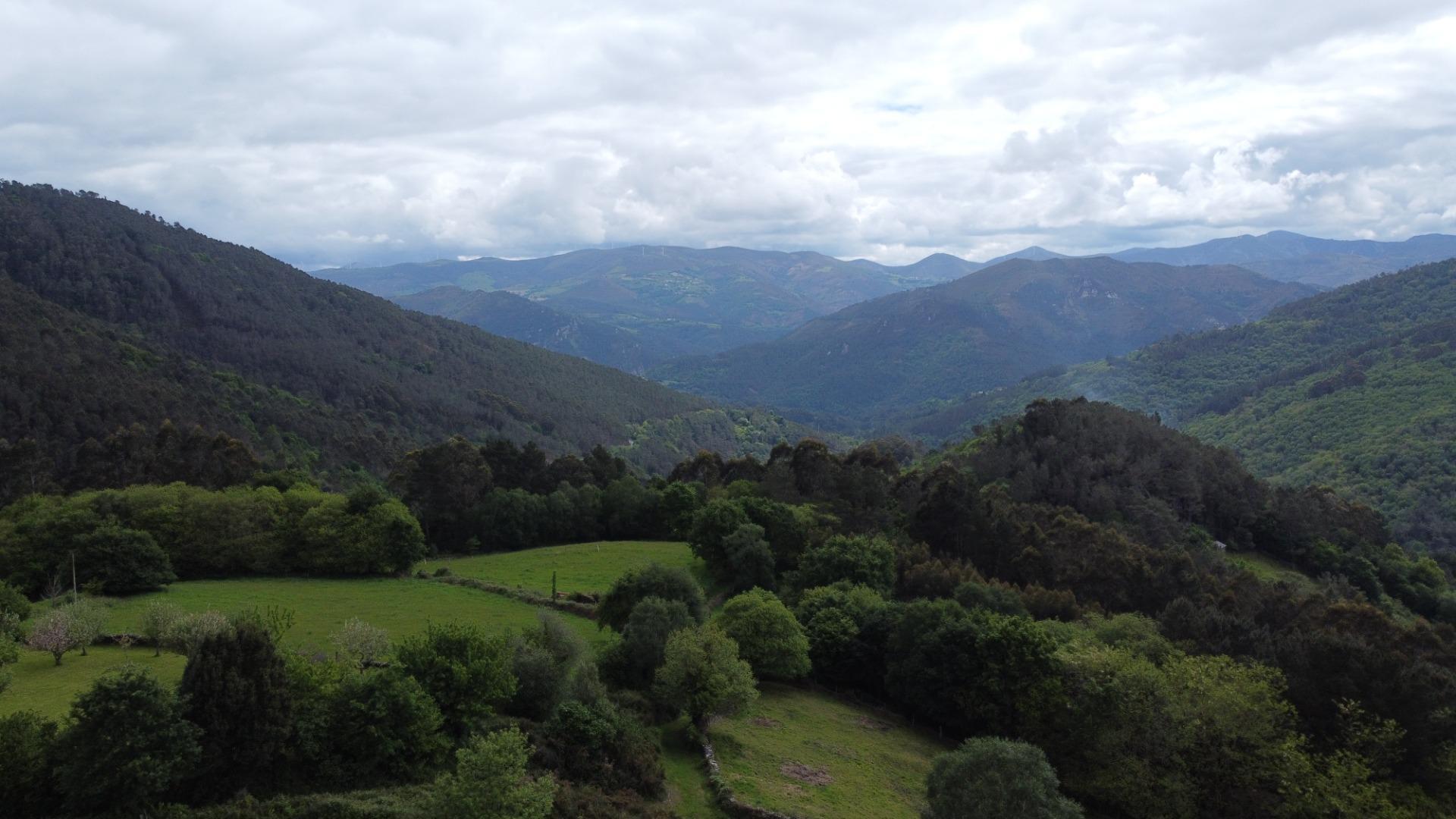 Casas o chalets-Venta-El Boalo-2412017-Foto-37