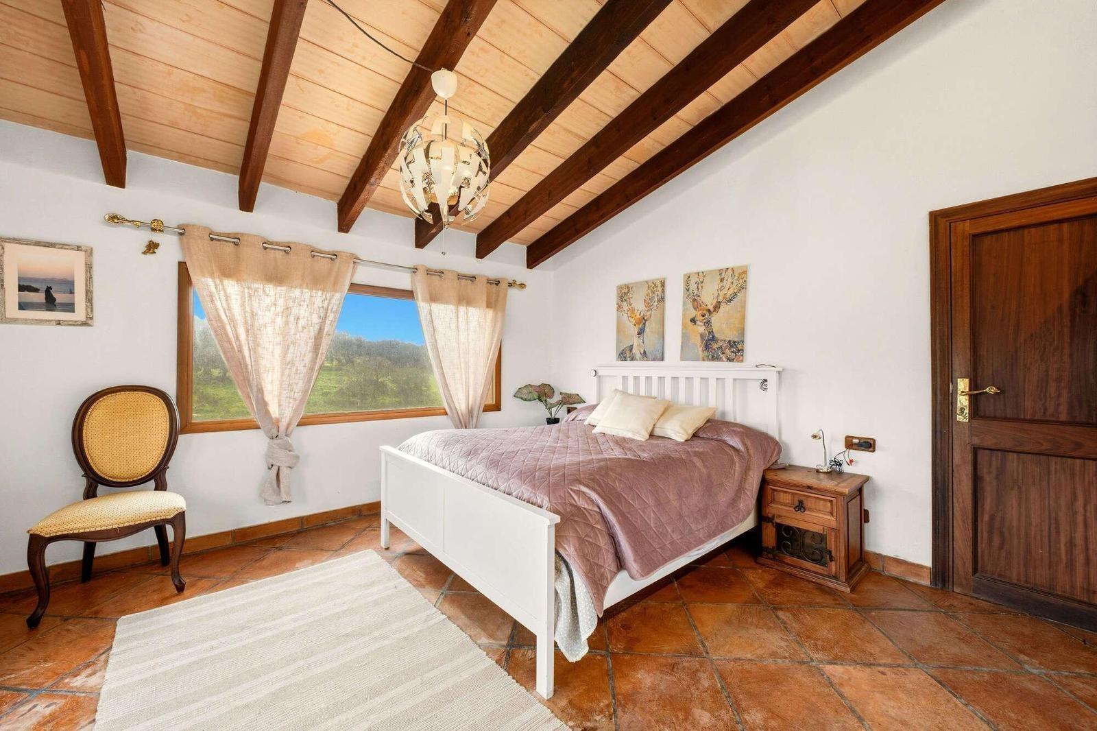Pisos-Venta-LlubÃ­-2412152-Foto-10