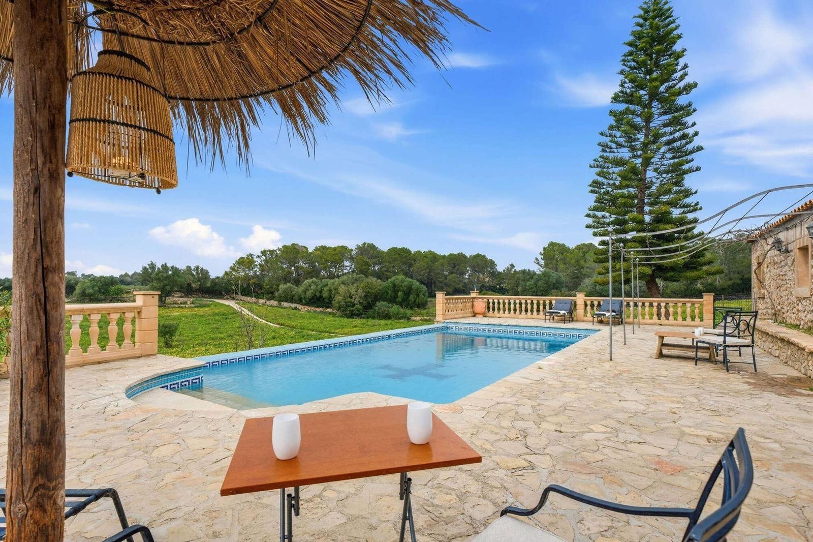 Pisos-Venta-LlubÃ­-2412152-Foto-12