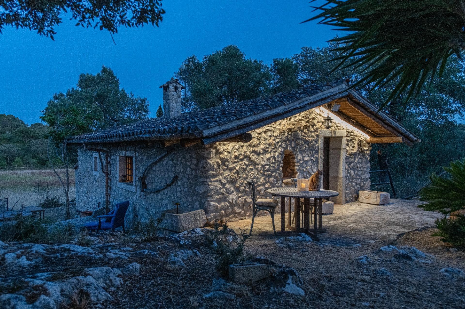 Pisos-Venta-LlubÃ­-2412152-Foto-16