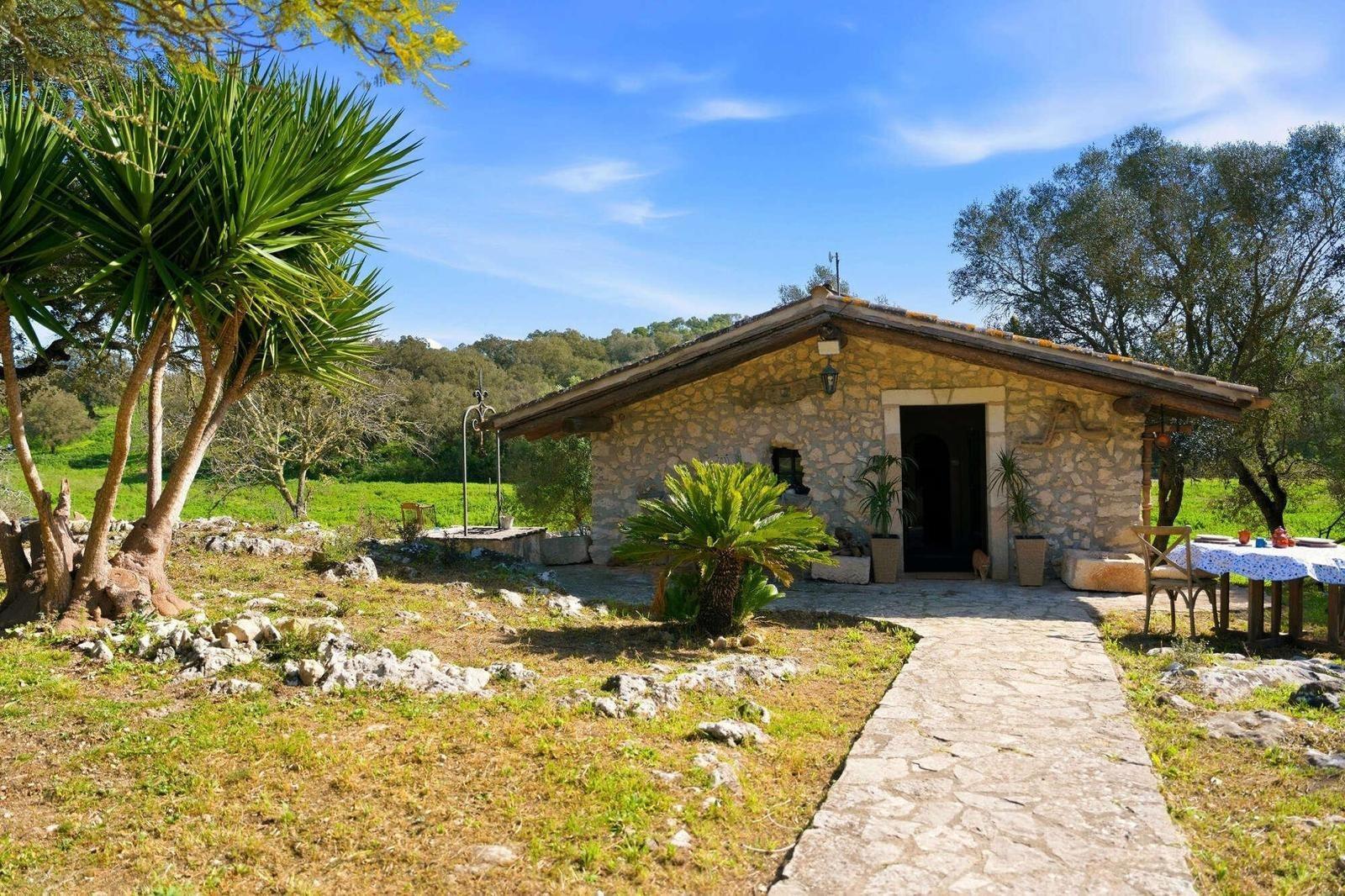 Pisos-Venta-LlubÃ­-2412152-Foto-22