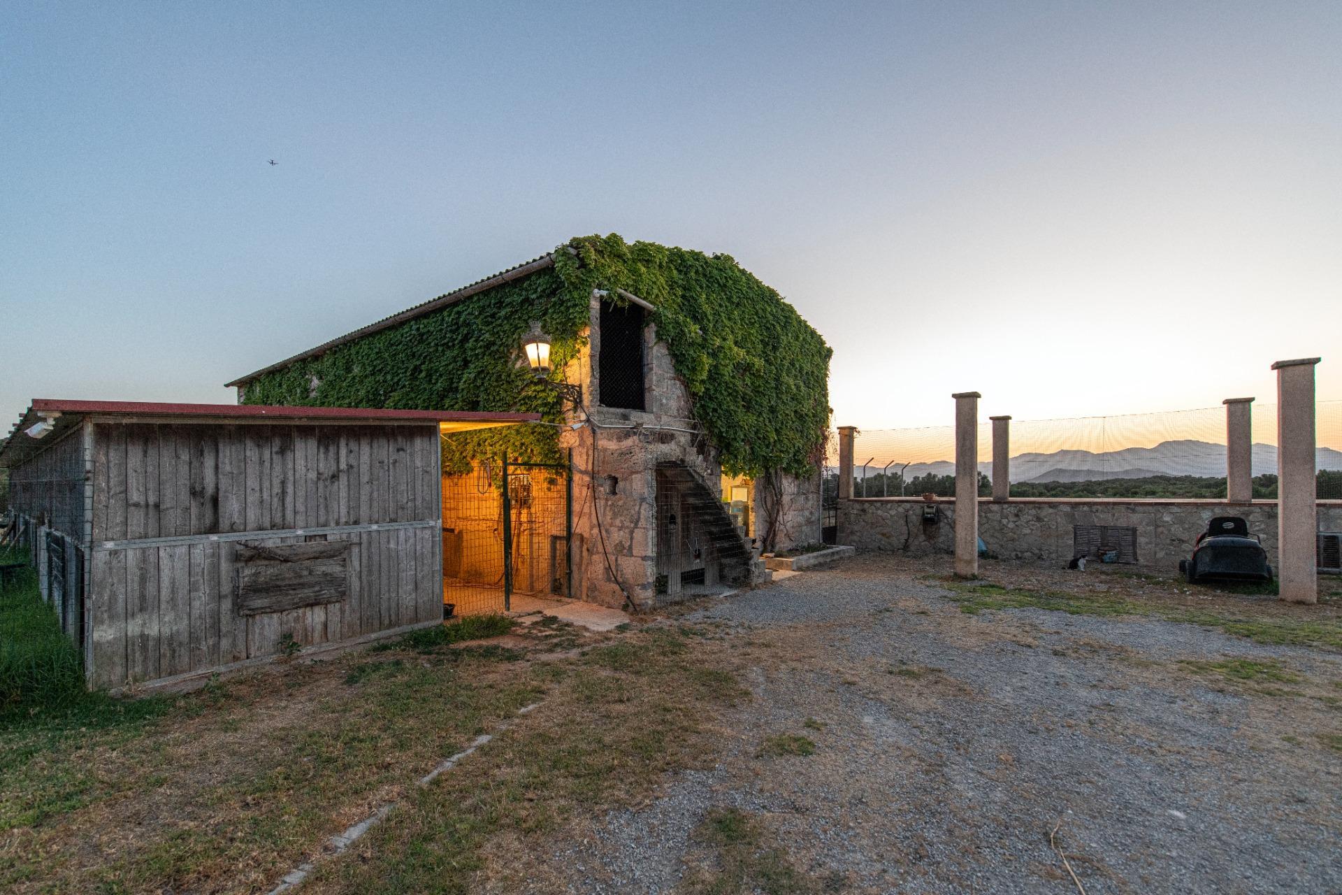 Pisos-Venta-LlubÃ­-2412152-Foto-38