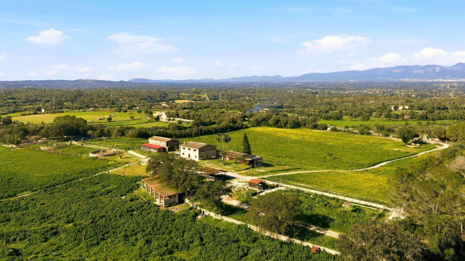 Pisos-Venta-LlubÃ­-2412152-Foto-37