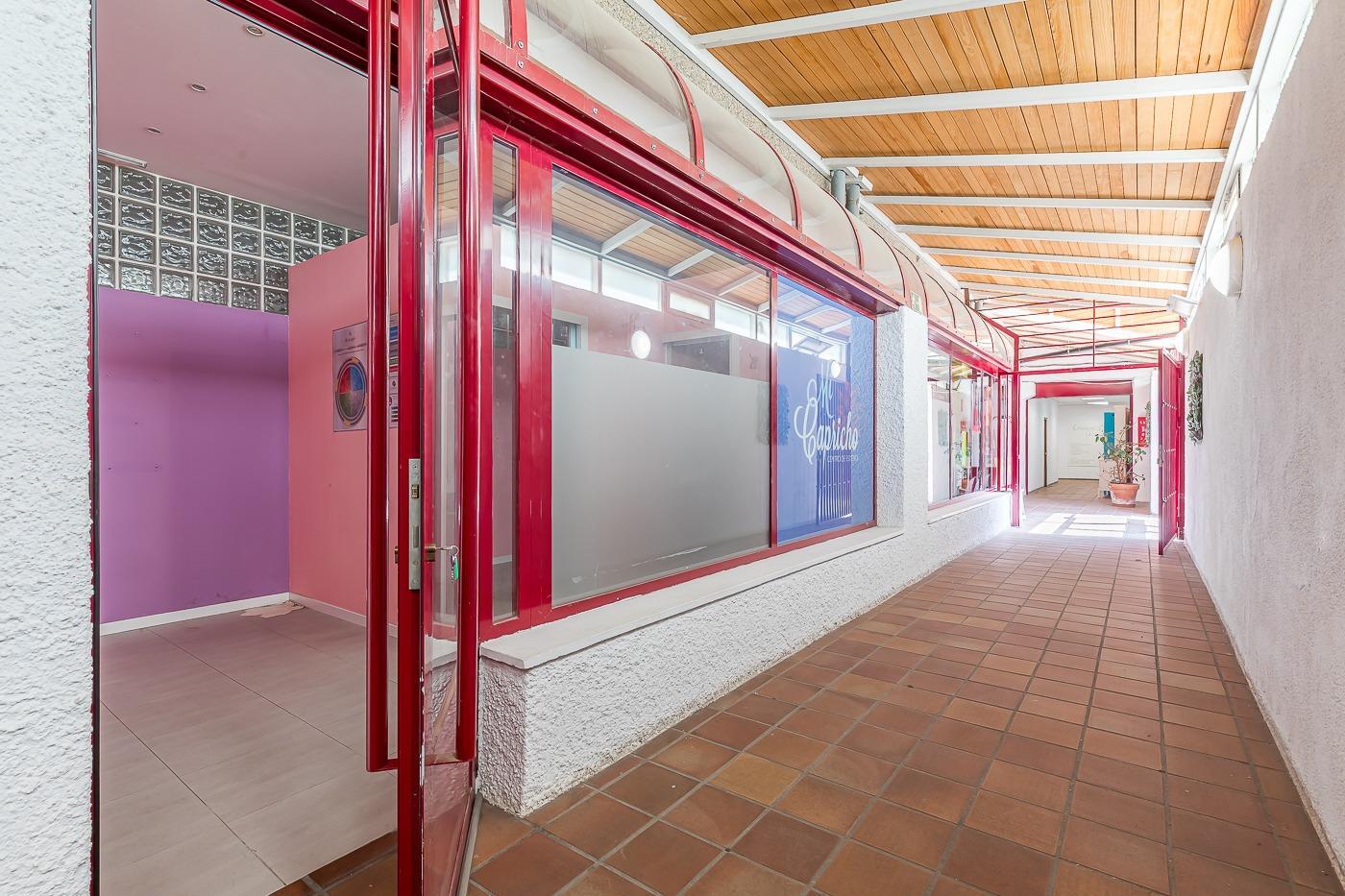 Negocios-Venta-San Lorenzo de El Escorial-2412029-Foto-12