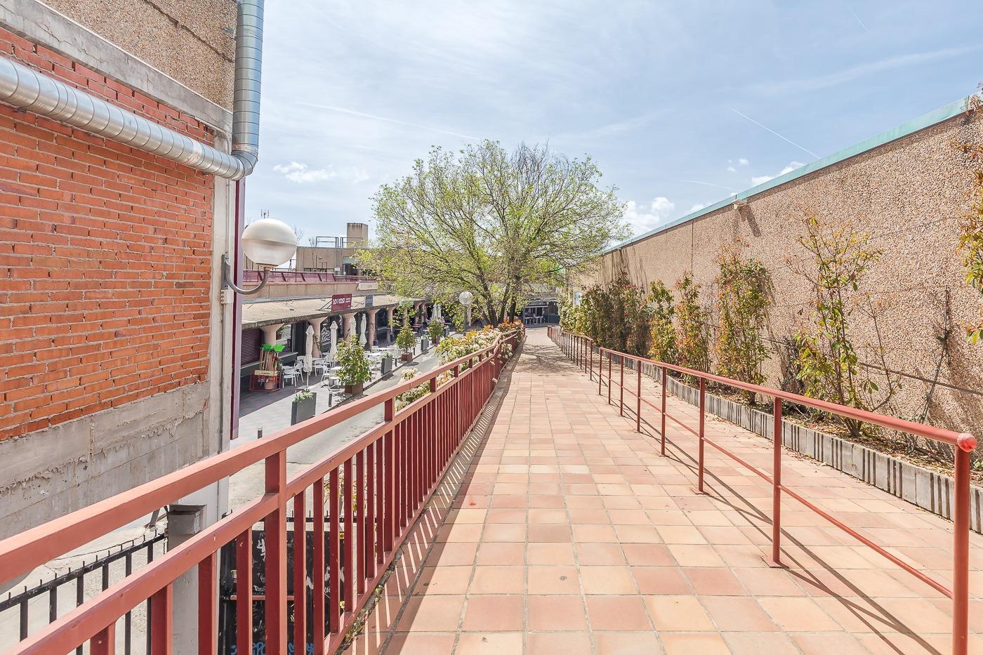 Negocios-Venta-San Lorenzo de El Escorial-2412029-Foto-17