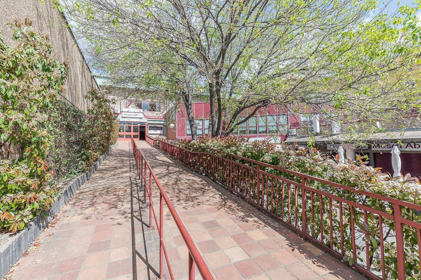 Negocios-Venta-San Lorenzo de El Escorial-2412029-Foto-16