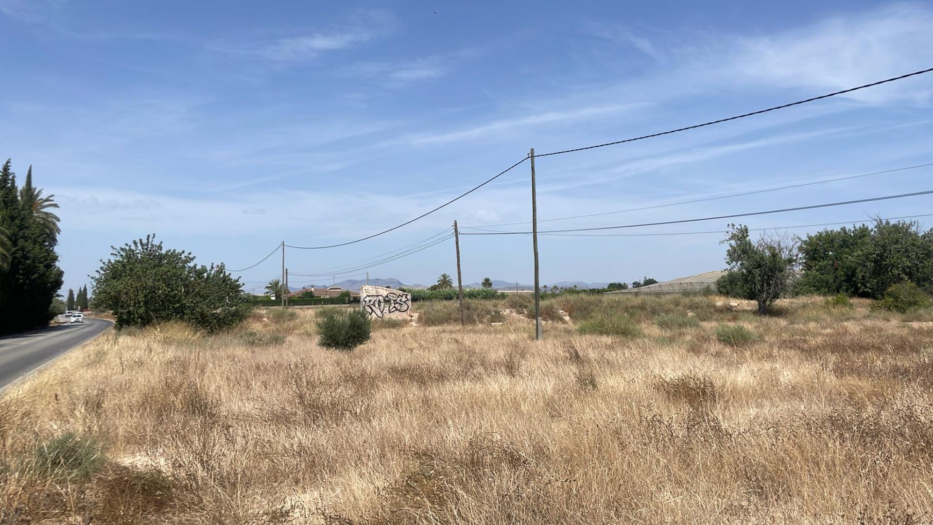 Fincas y solares-Venta-Elche-2412155-Foto-7