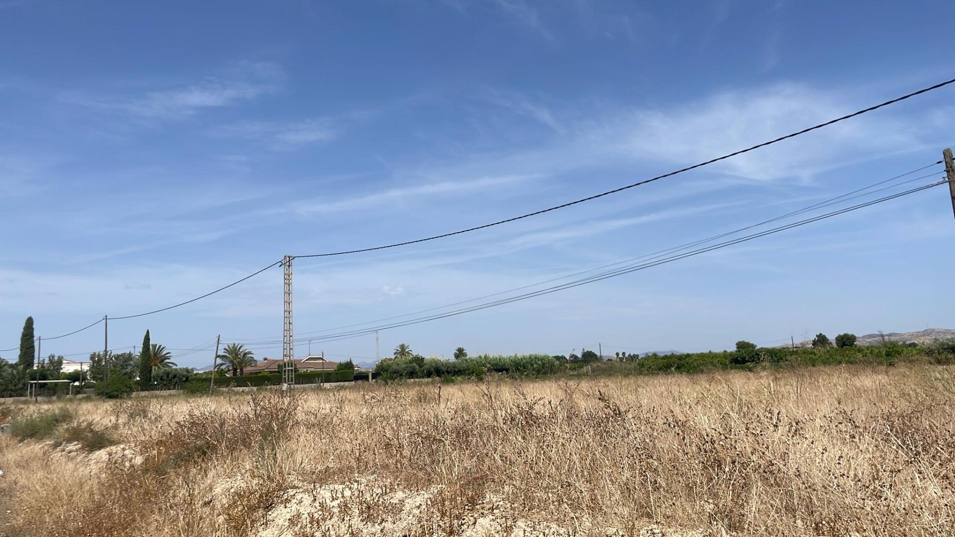 Fincas y solares-Venta-Elche-2412155-Foto-6
