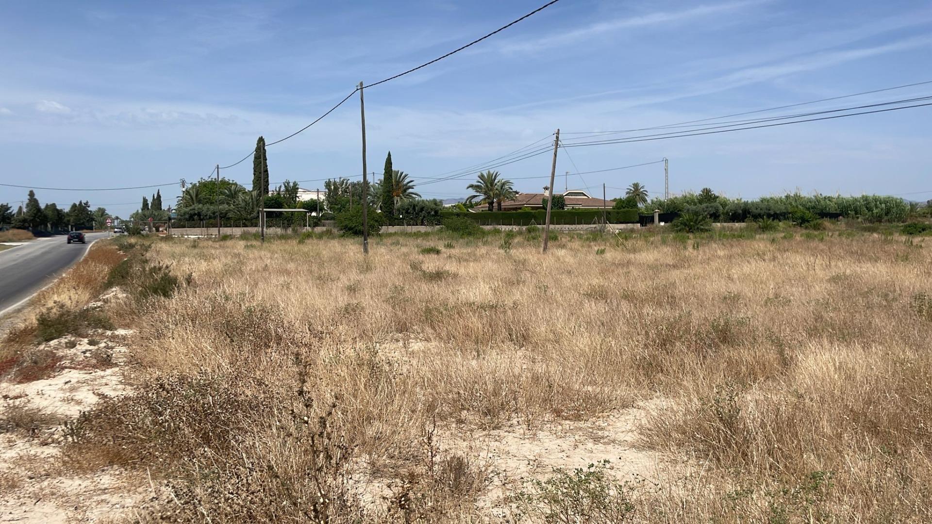 Fincas y solares-Venta-Elche-2412155-Foto-4