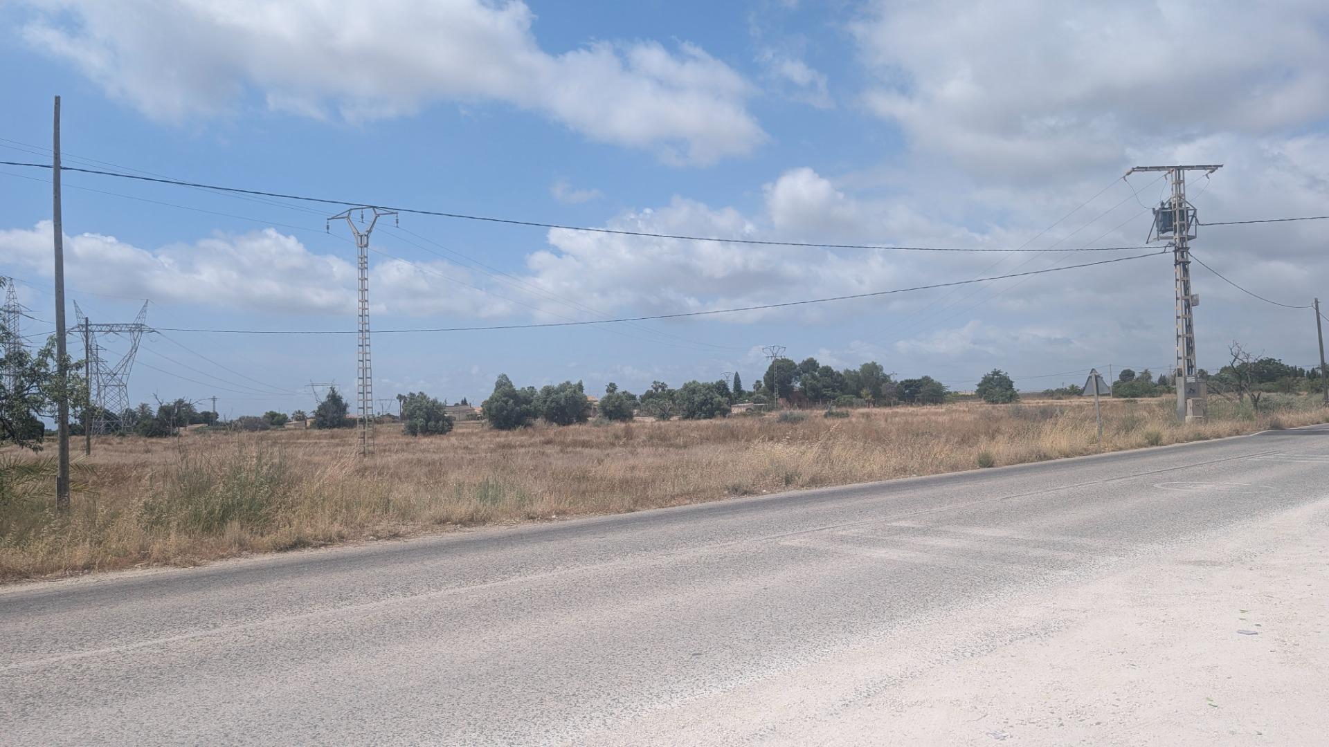 Fincas y solares-Venta-Elche-2412155-Foto-2