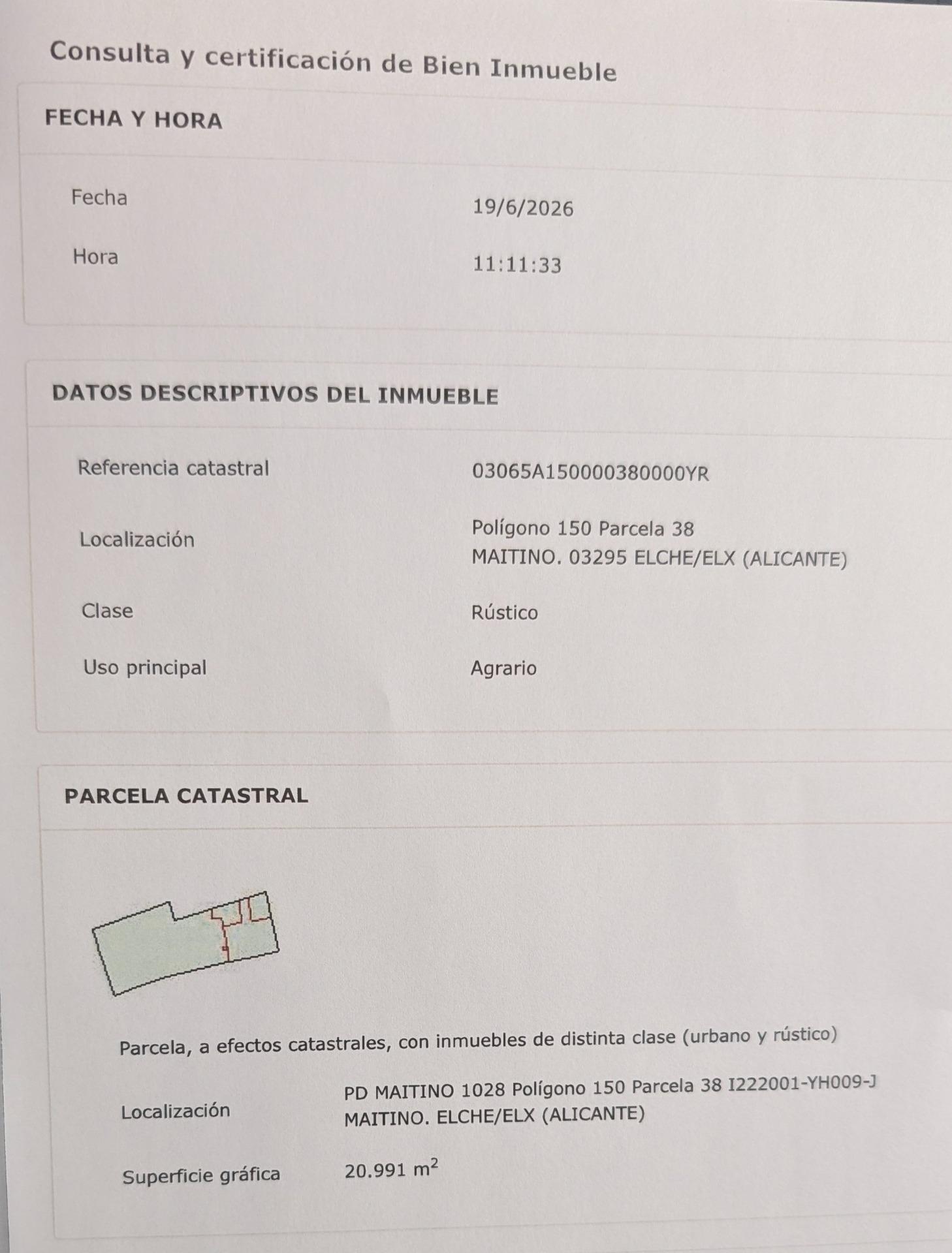 Fincas y solares-Venta-Elche-2412155-Foto-3