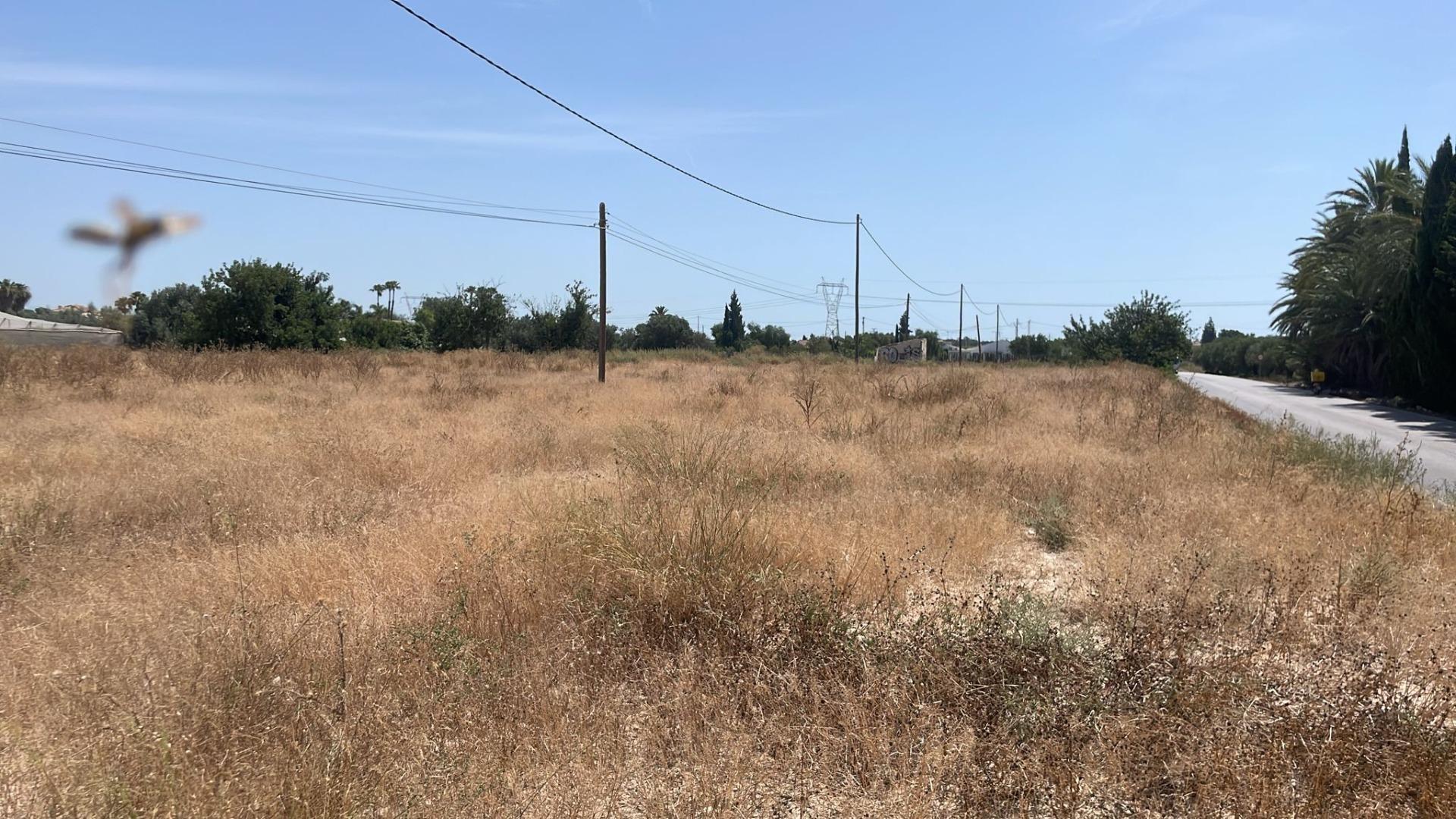Fincas y solares-Venta-Elche-2412155