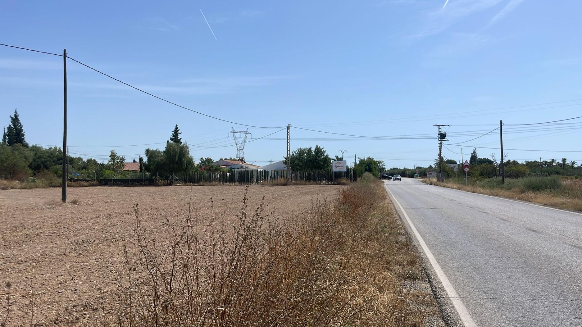 Fincas y solares-Venta-Elche-2412155-Foto-9