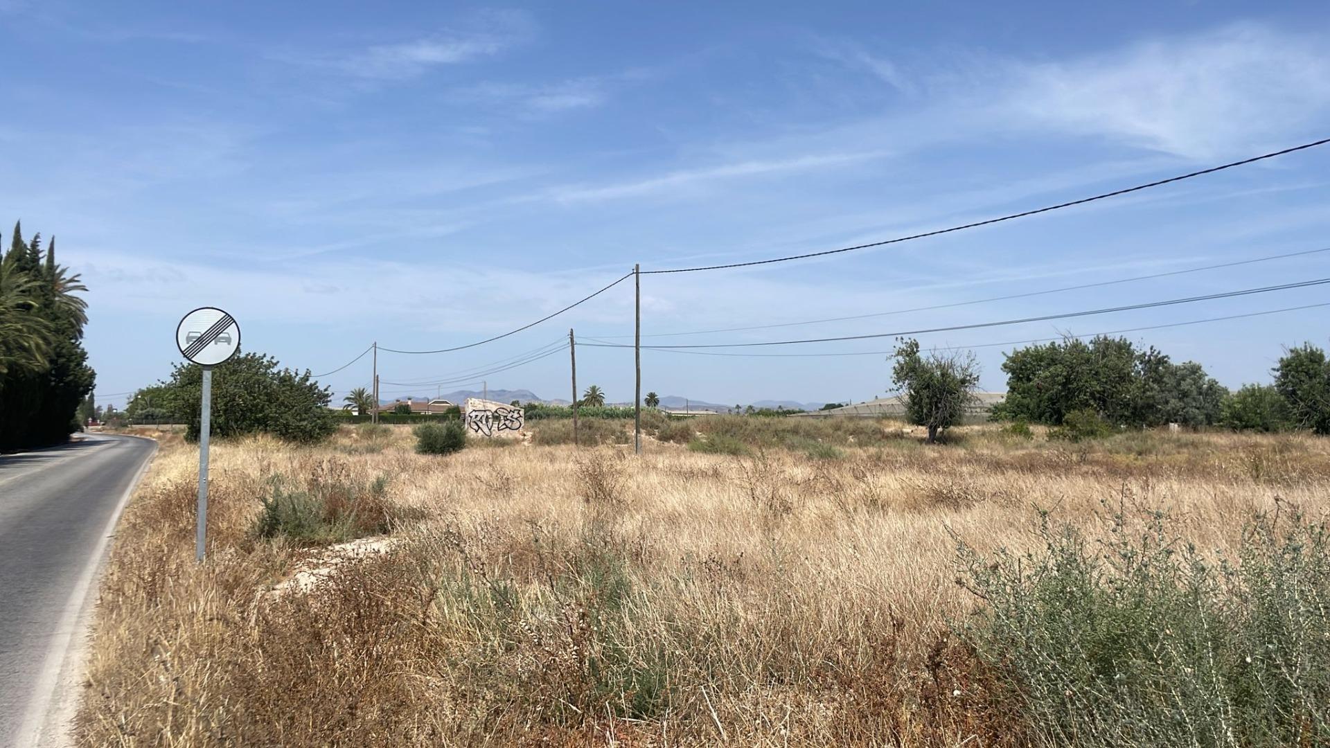 Fincas y solares-Venta-Elche-2412155-Foto-8