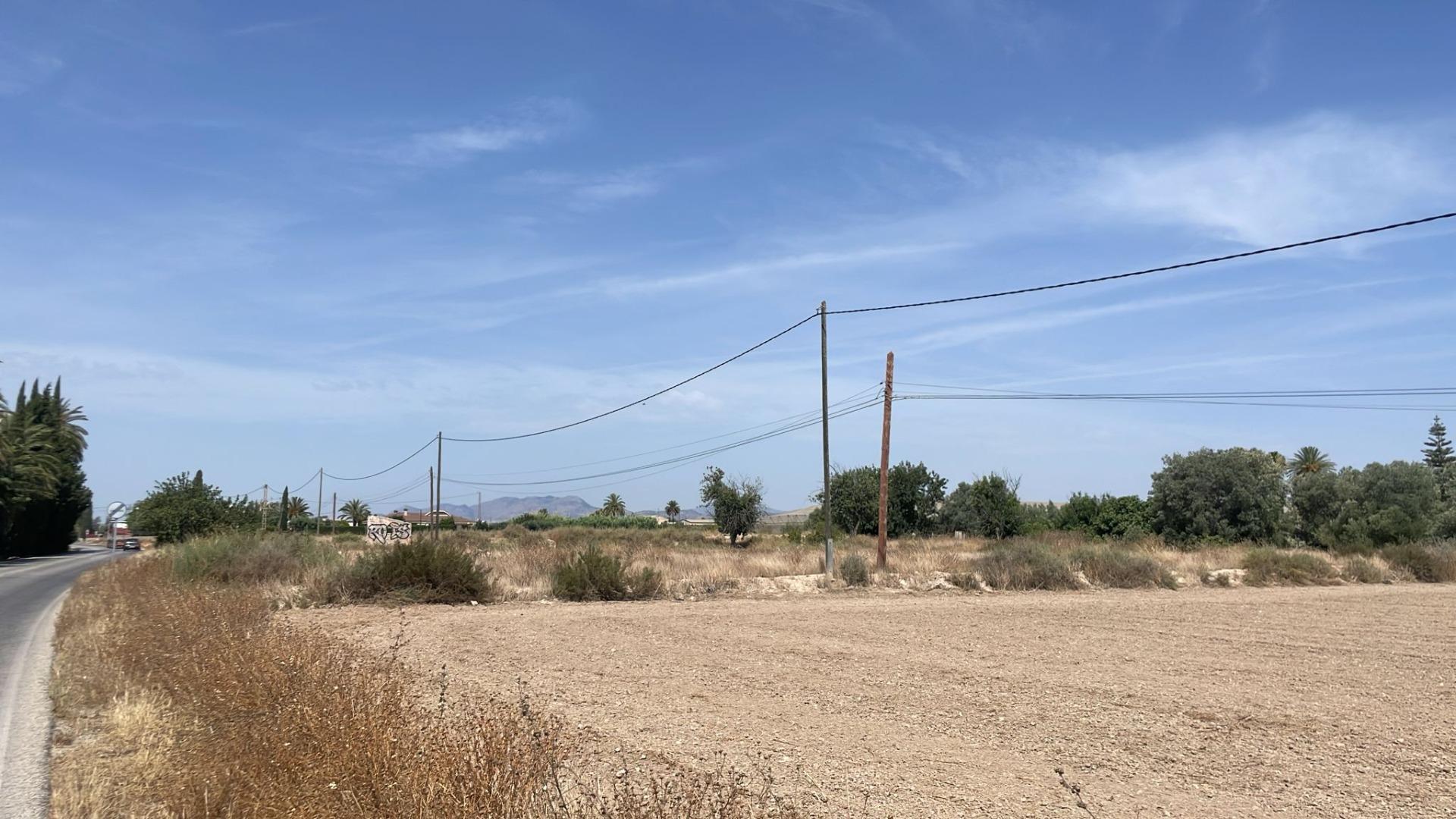 Fincas y solares-Venta-Elche-2412155-Foto-10