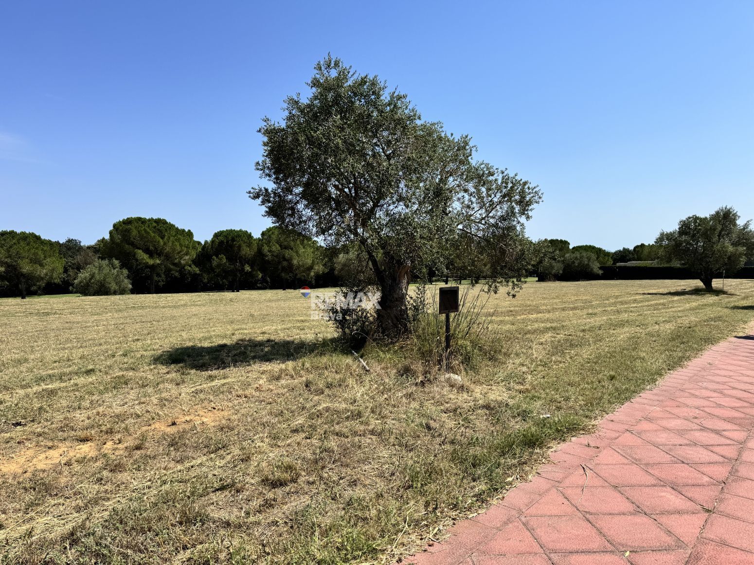 Fincas y solares-Venta-Llers-2412263-Foto-2