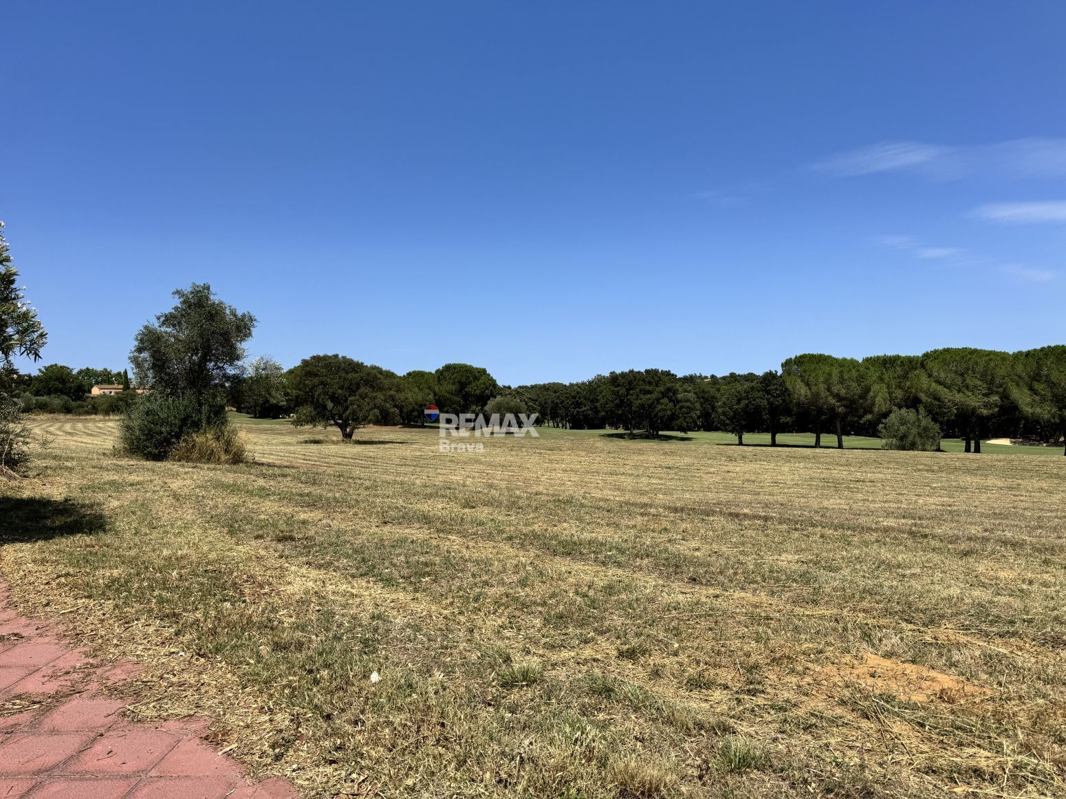 Fincas y solares-Venta-Llers-2412263-Foto-14